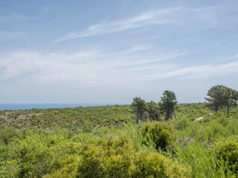 Rural Land with Sea Views in Jávea, near Montgó