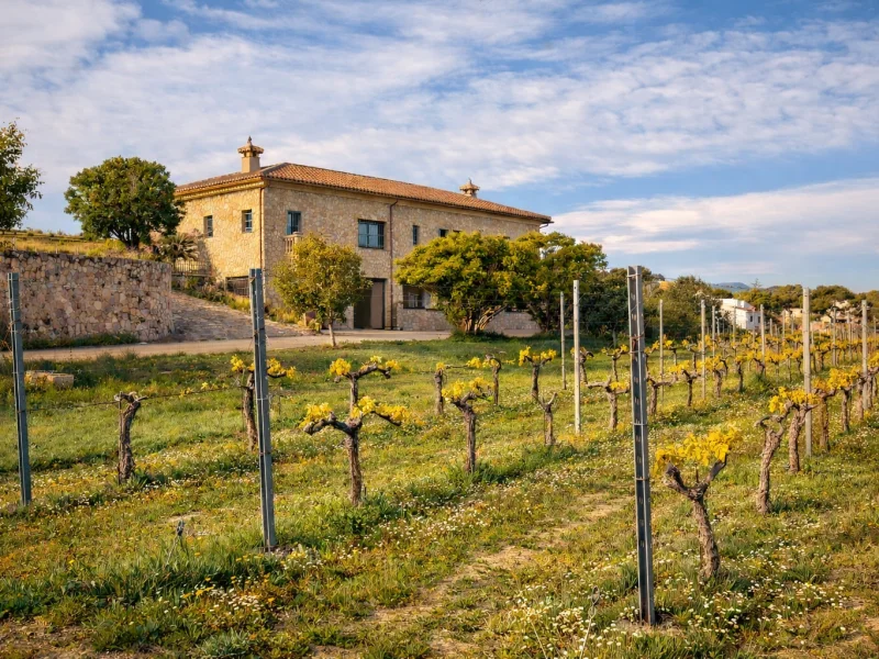 Rustic estate for sale in Benitachell with vineyards and panoramic views