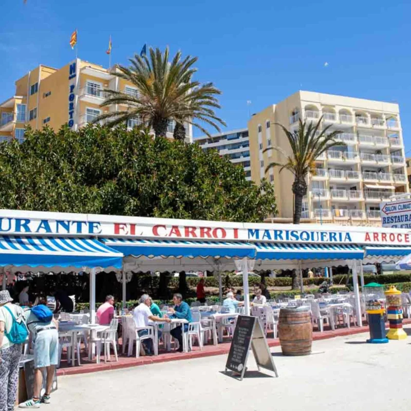 Properties in Calpe El Carrió | Real Estate
