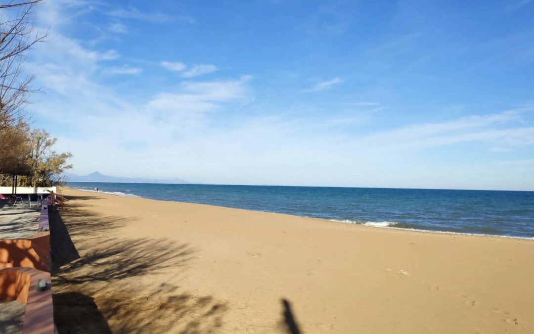 Properties for sale in Las Marinas (Dénia)