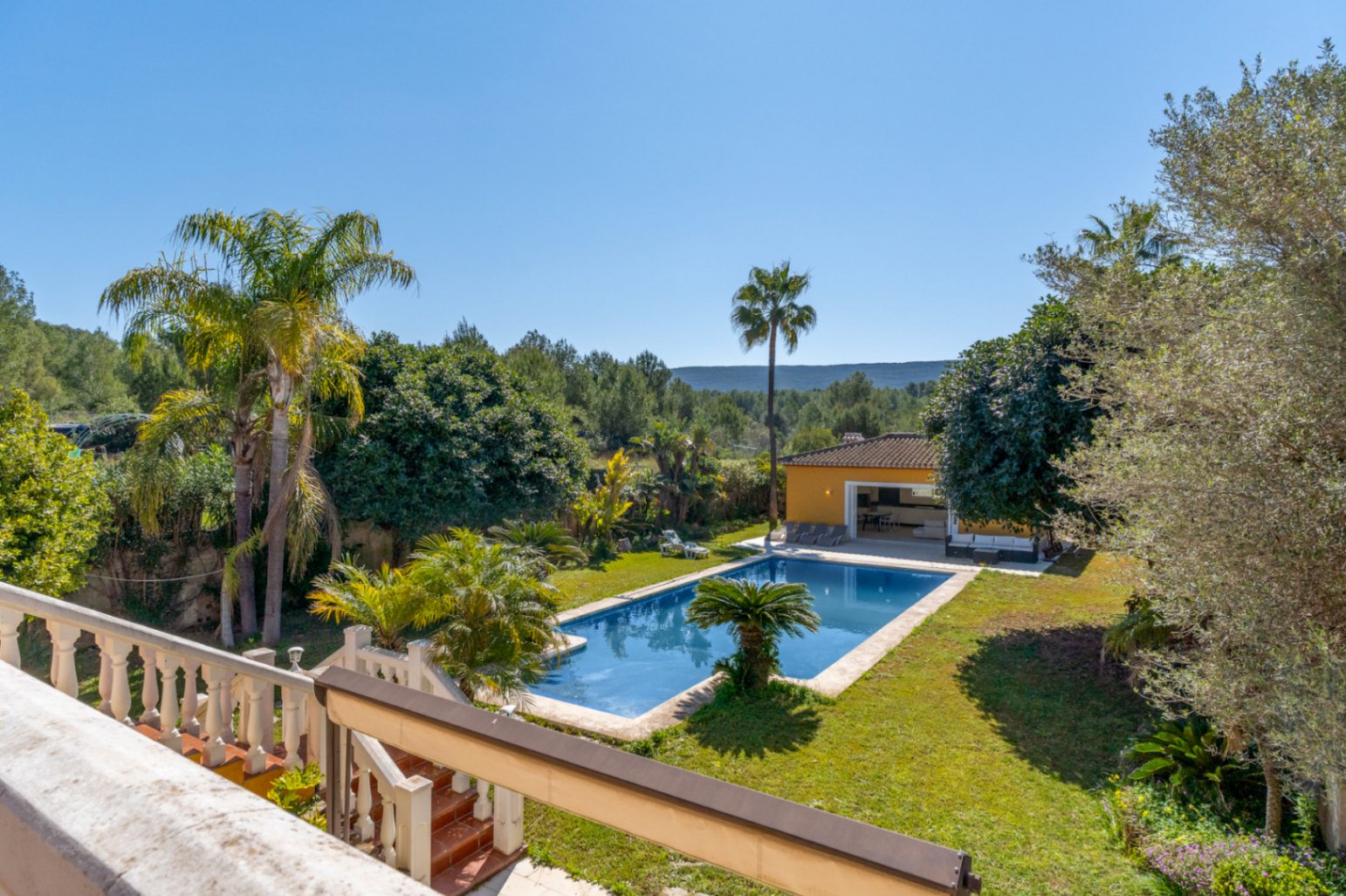 Elevated view of the Mediterranean garden featuring a 15x6m swimming pool, mature palm trees, and a separate poolside pavilion set against lush nature.