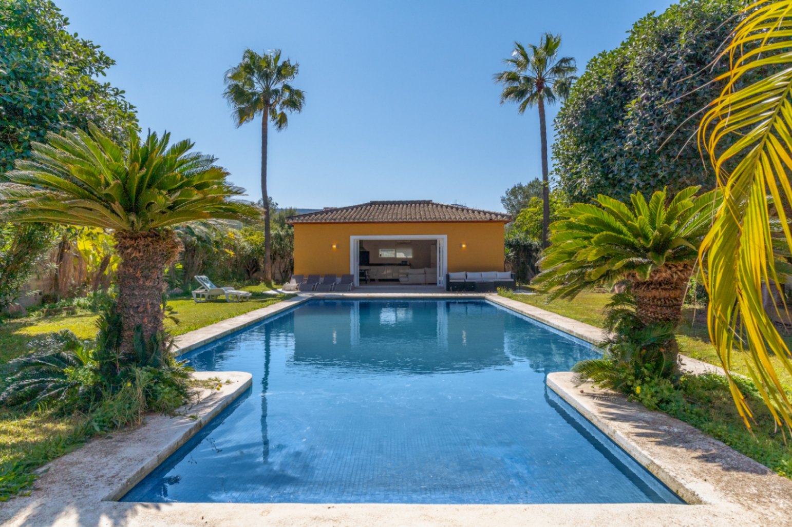 Large 15x6m swimming pool flanked by palm trees and a flat lawn, leading to a 67 sqm covered barbecue area and pool house with an open layout.