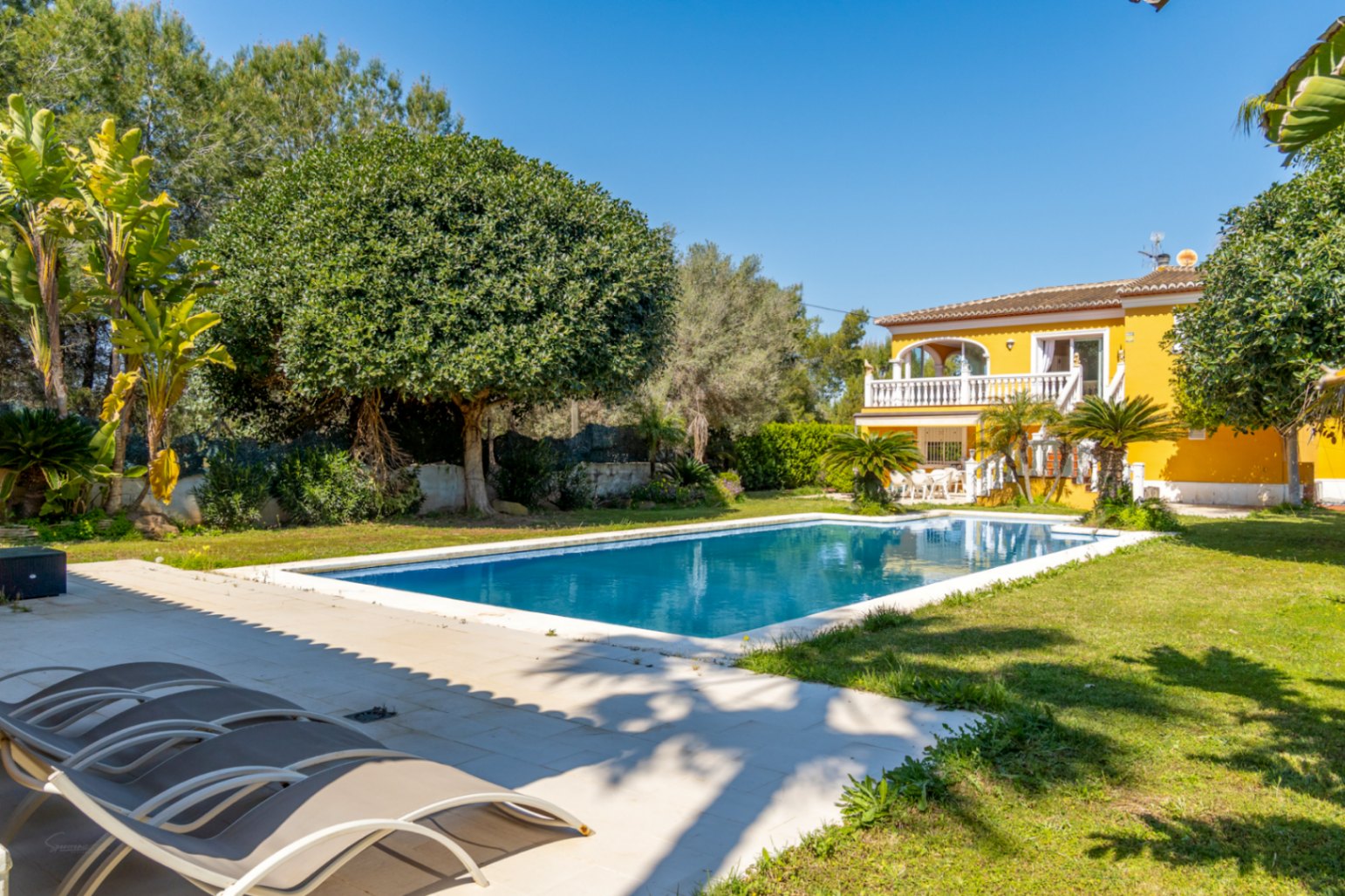 Large rectangular swimming pool set within a flat lawn, featuring a white stone border and views of the two-story yellow villa with traditional balustrades.