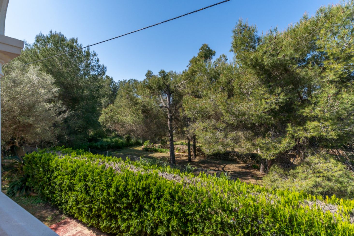 View from the property overlooking the wooded garden, featuring mature pine trees and dry stone walls that ensure complete privacy.