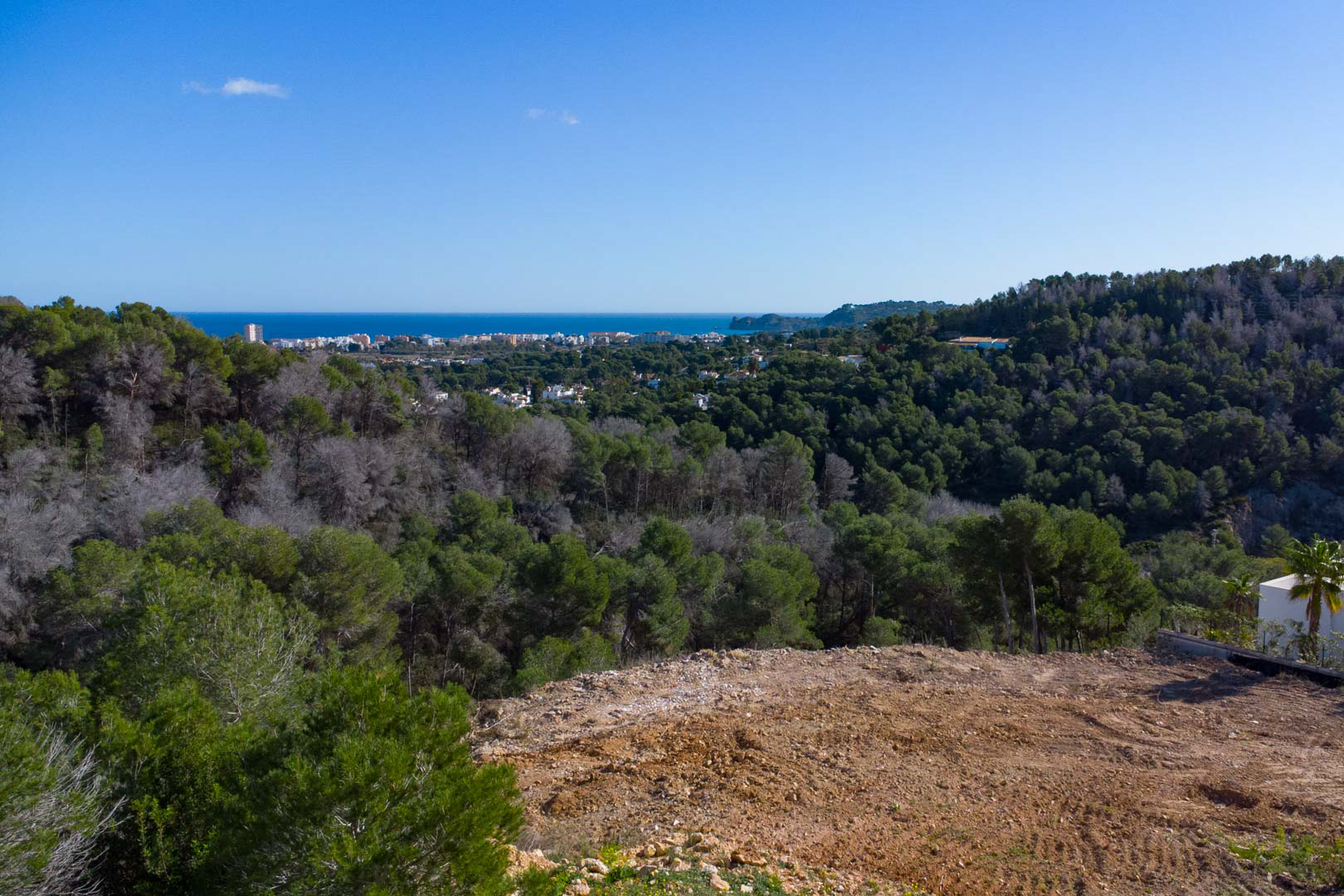 Panoramic views from the elevated plot overlooking the Mediterranean Sea, surrounded by a dense pine forest and the coastal skyline under a clear sky.