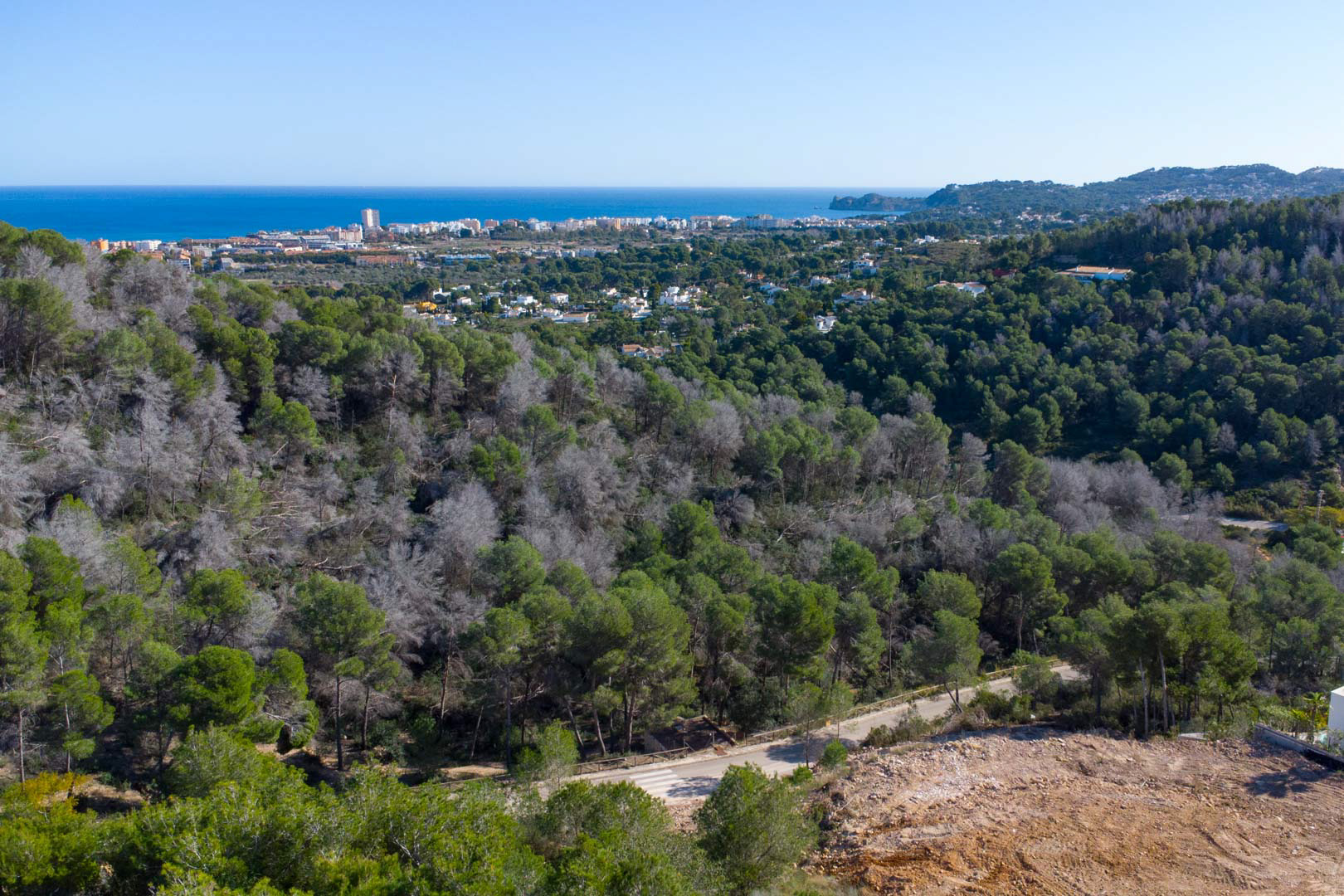 Panoramic views from the elevated plot toward the Mediterranean Sea, surrounded by a natural pine forest with the coastal town in the distance.