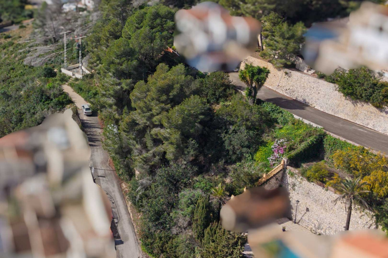 Elevated view of the access road in Sol de Este, featuring dense Mediterranean vegetation, pine trees, and natural stone retaining walls.