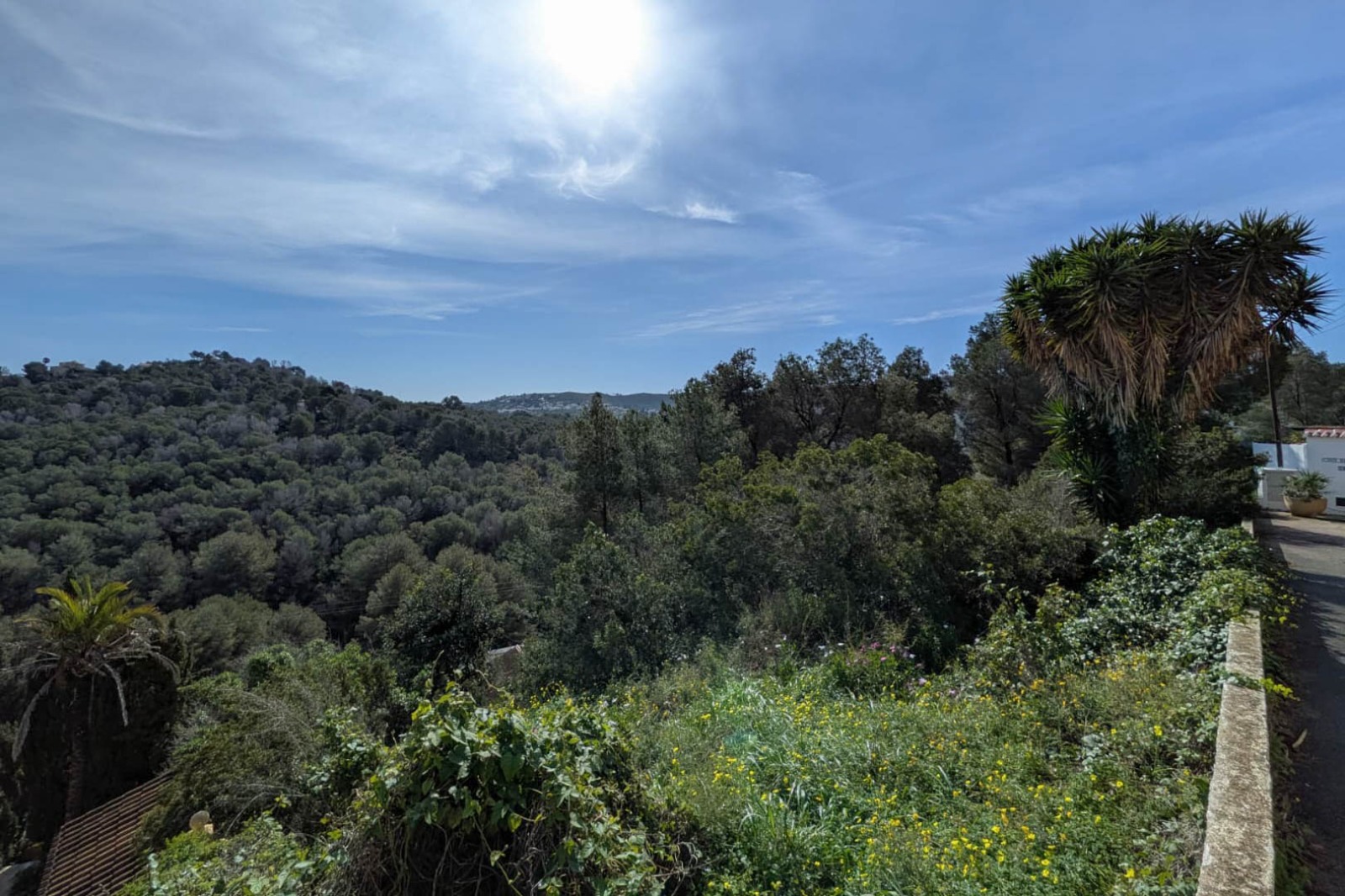 Panoramic view from the elevated plot overlooking wooded hills and the Mediterranean Sea on the horizon, featuring natural Mediterranean vegetation.