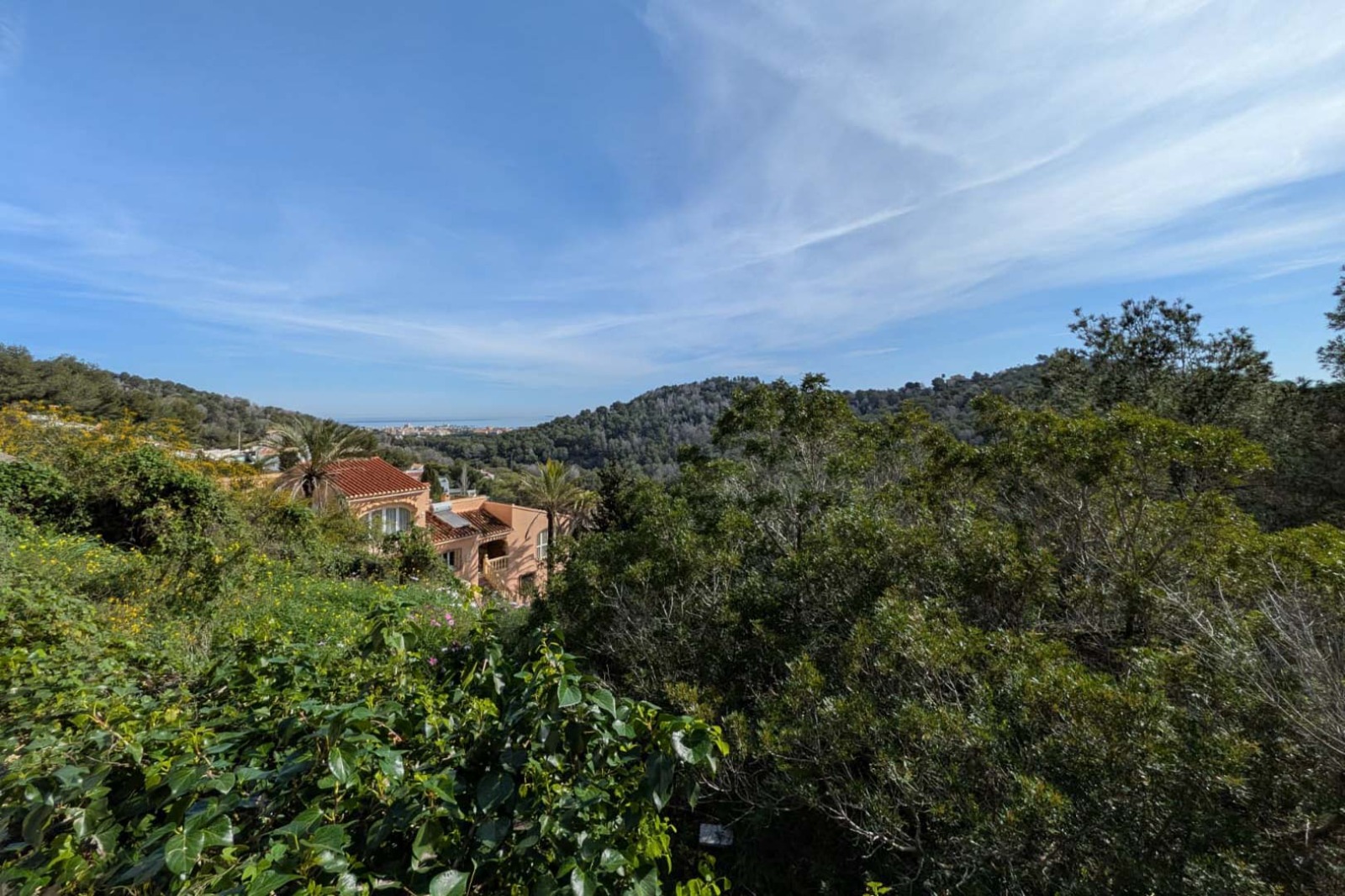 Panoramic view from the plot overlooking the Mediterranean Sea and forested hills, featuring dense local vegetation and traditional terracotta-roofed villas.