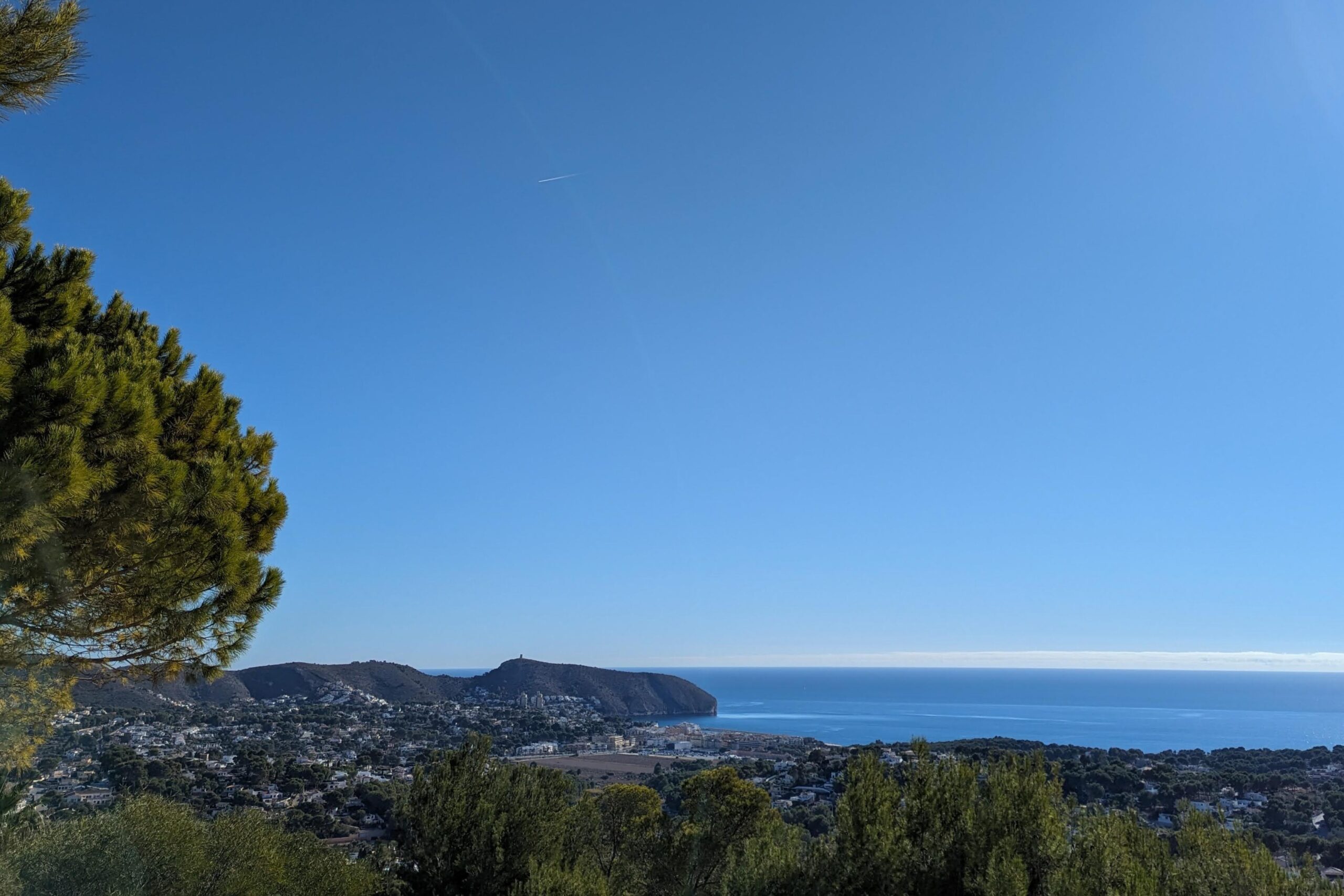 Elevated panoramic view overlooking the Moraira coastline and the Mediterranean Sea, framed by native pine trees under a clear blue sky.