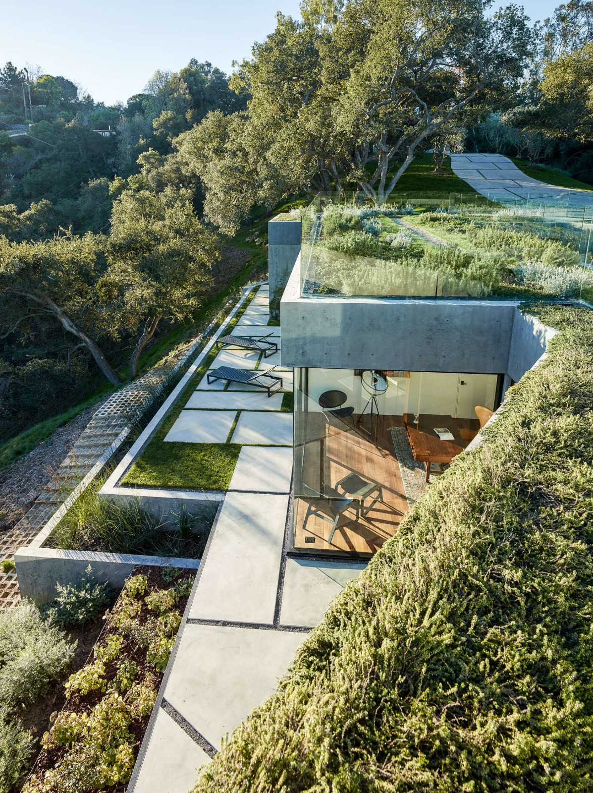 Modern hillside architecture featuring living green roofs, exposed concrete structures, and floor-to-ceiling glass walls overlooking geometric stone terraces and lush foliage.