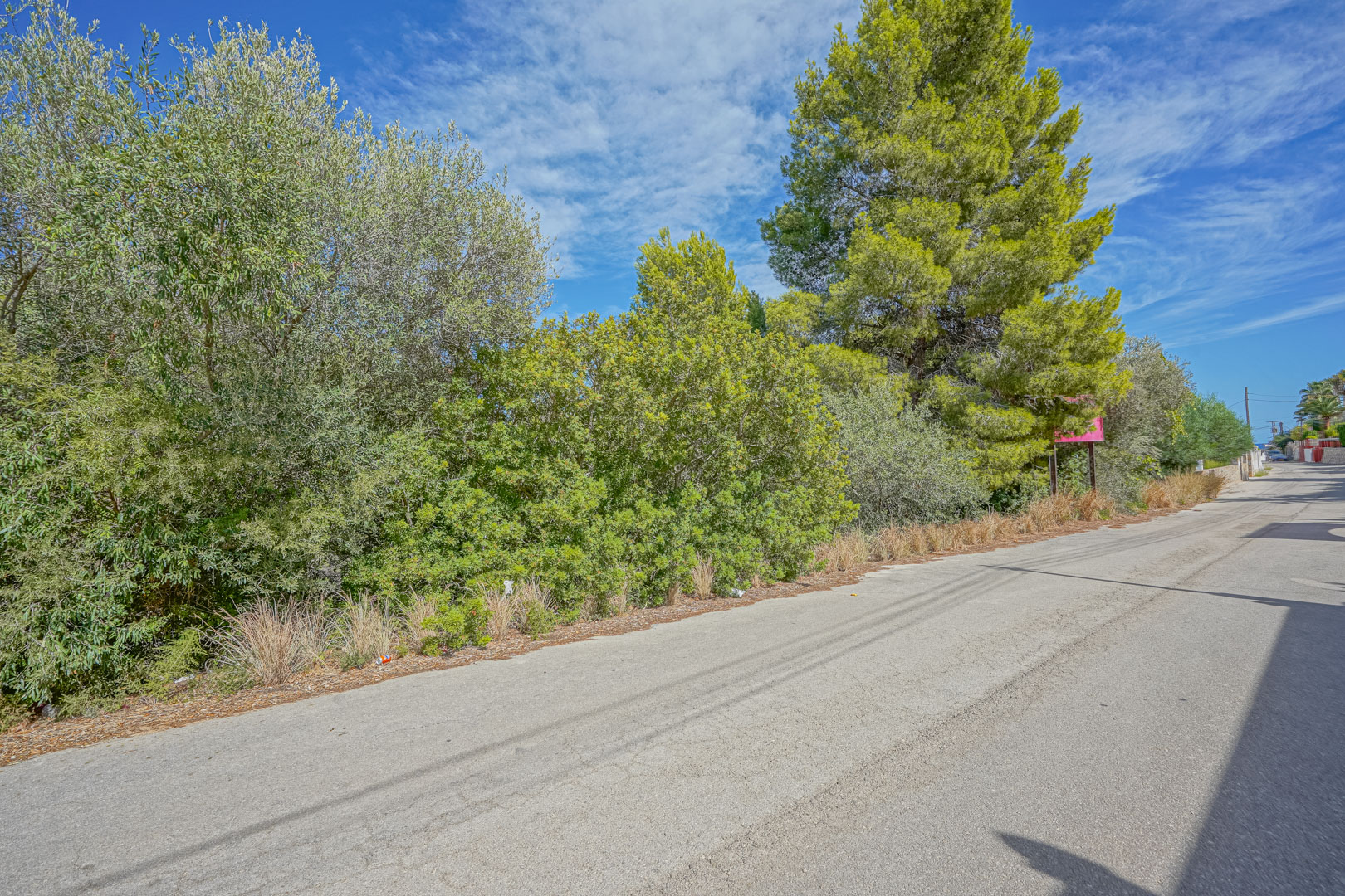 Street-level view of the plot's perimeter, featuring dense Mediterranean vegetation and mature pine trees alongside a paved residential road.