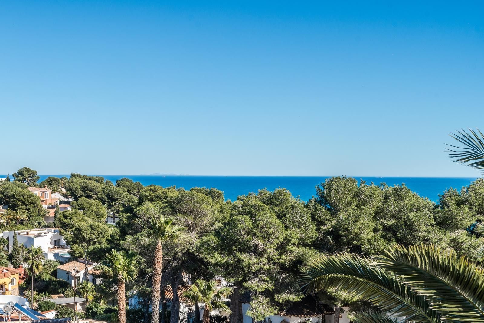 Panoramic views of the Mediterranean Sea over a lush canopy of pine and palm trees, showcasing the elevated position in Balcón al Mar, Jávea.