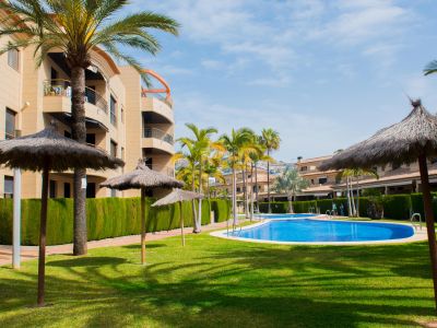 Expansive community gardens featuring two swimming pools, surrounded by green lawns, palm trees, and straw umbrellas. Residential buildings with balconies in the background.