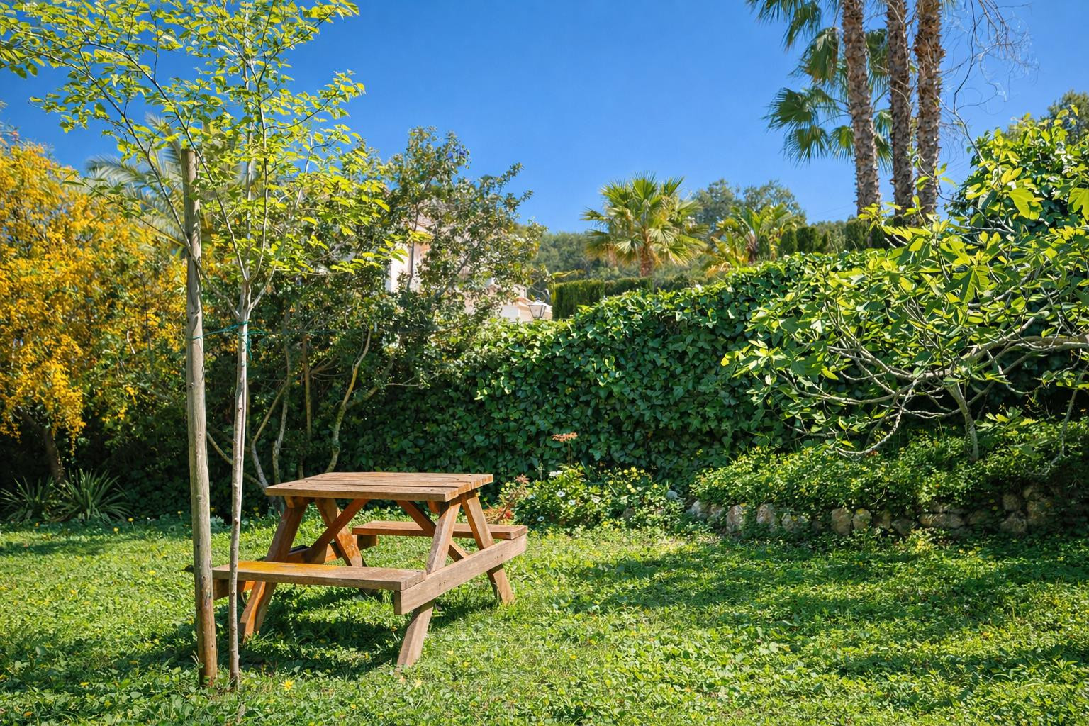 Garden area featuring a wooden picnic table on a natural lawn, enclosed by a mature ivy hedge and framed by Mediterranean palm trees.
