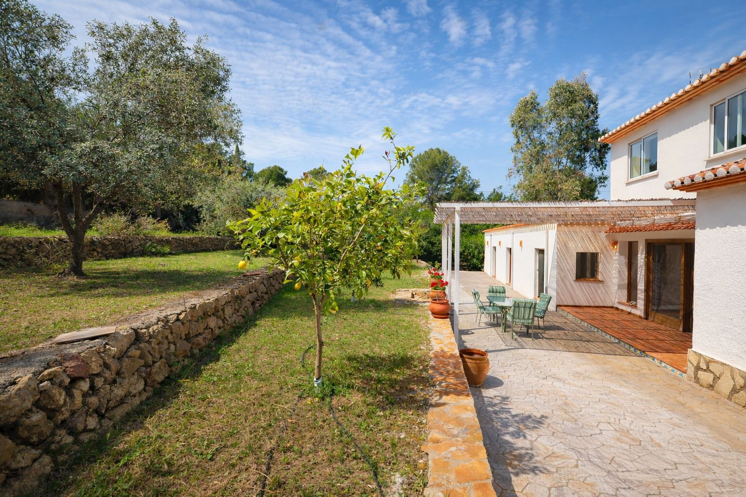 Exterior view featuring a paved terrace with a shaded pergola, terraced gardens supported by stone walls, and a young lemon tree.