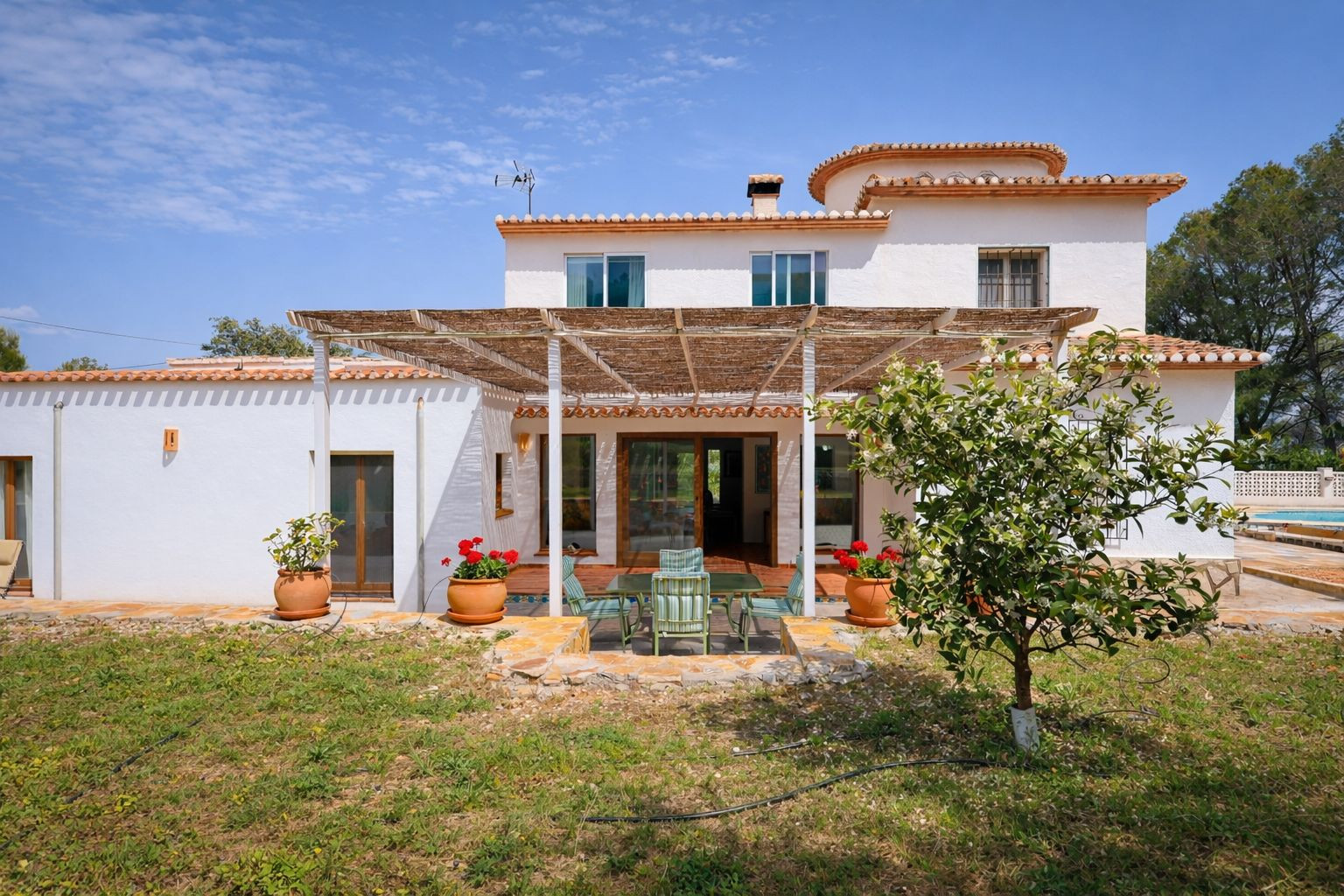Rear facade of the villa featuring a reed-covered pergola, outdoor dining area, and Mediterranean garden with fruit trees.
