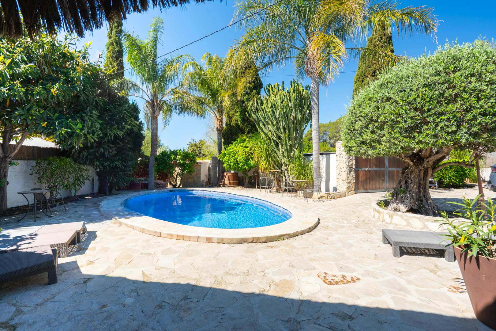 Oval swimming pool set within a natural stone terrace, surrounded by a lush Mediterranean garden with palms, an olive tree, and cacti.