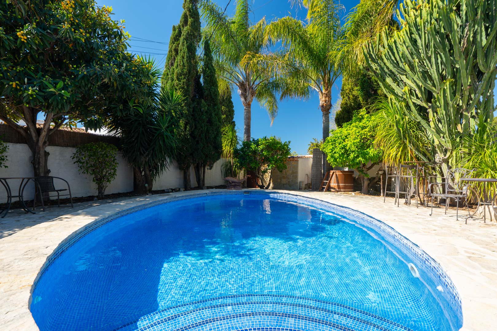 Oval swimming pool with blue mosaic tiling, bordered by natural stone paving and a lush Mediterranean garden featuring mature palms and cacti.