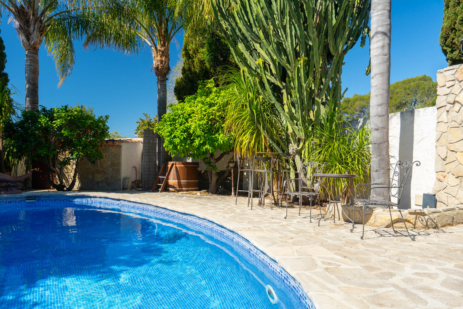 Pool area featuring a natural stone terrace, wrought iron furniture, and Mediterranean landscaping with mature cacti and palm trees.
