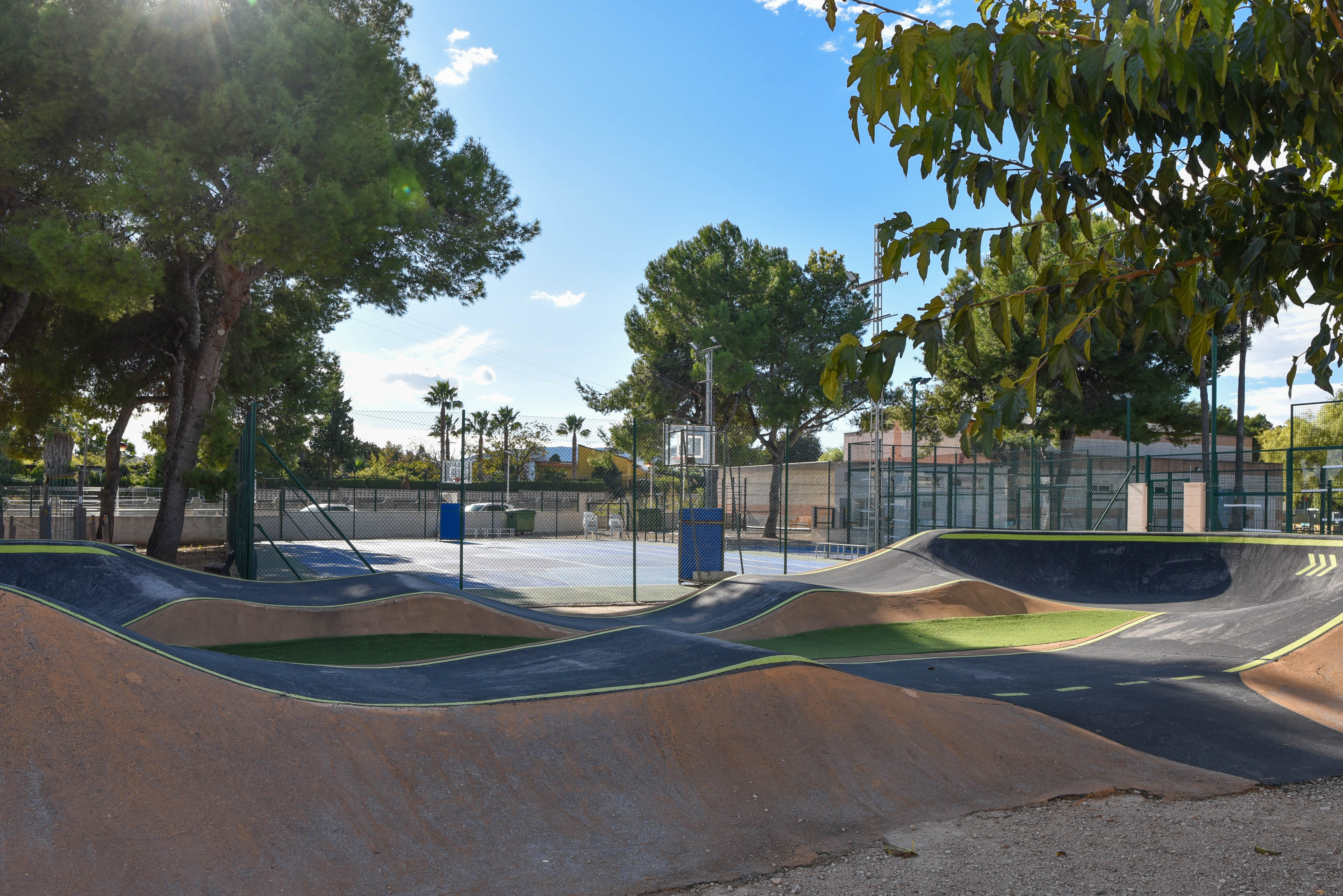 Asphalt pump track with undulating ramps adjacent to a fenced multi-sport court, set among mature pine trees in a municipal recreation area.