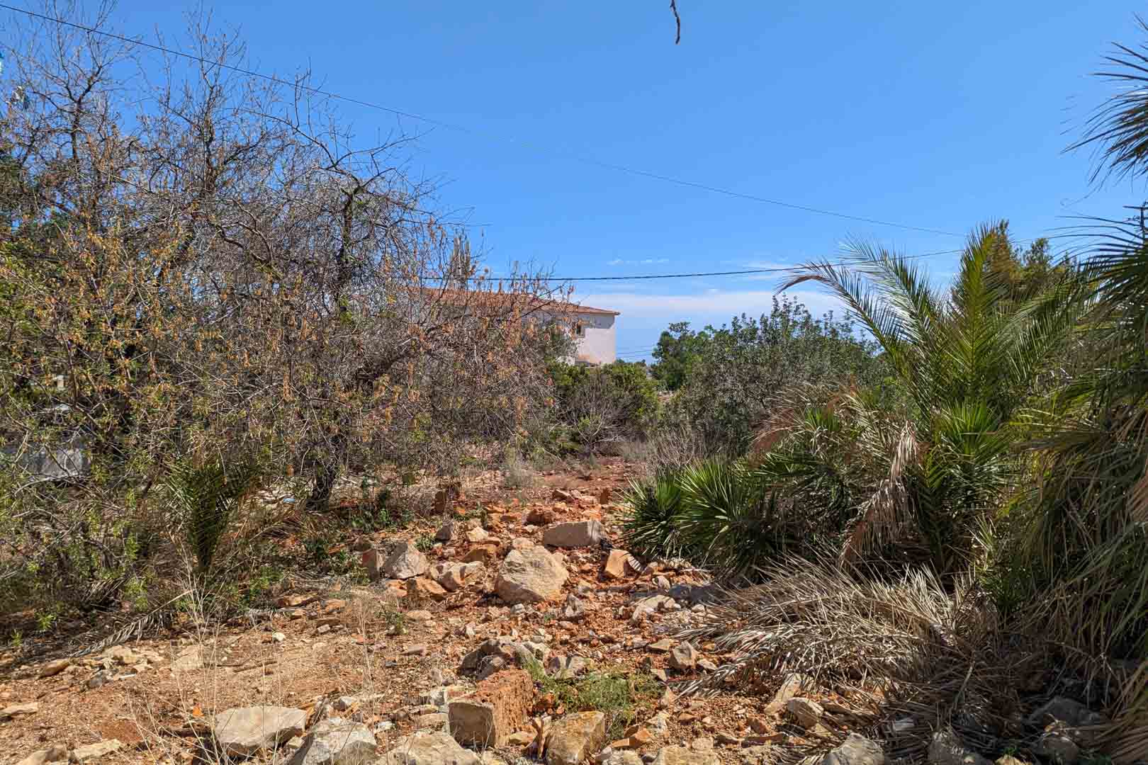 Plot surface with rocky terrain and native Mediterranean vegetation, showing the natural environment and proximity to existing residential buildings.