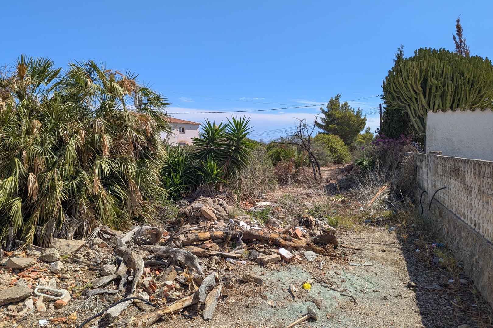 Urban plot featuring dense Mediterranean vegetation, palms, and wood debris in the foreground, bordered by a stone wall under a clear blue sky.