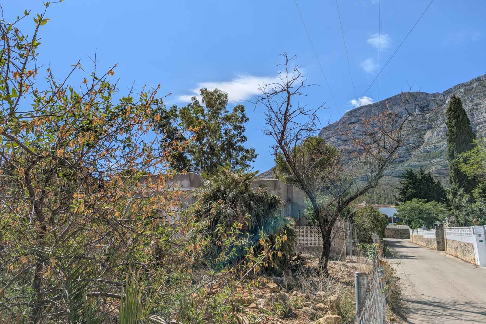 View of the plot featuring Mediterranean vegetation and paved access, with the Montgó mountain massif prominent in the background.