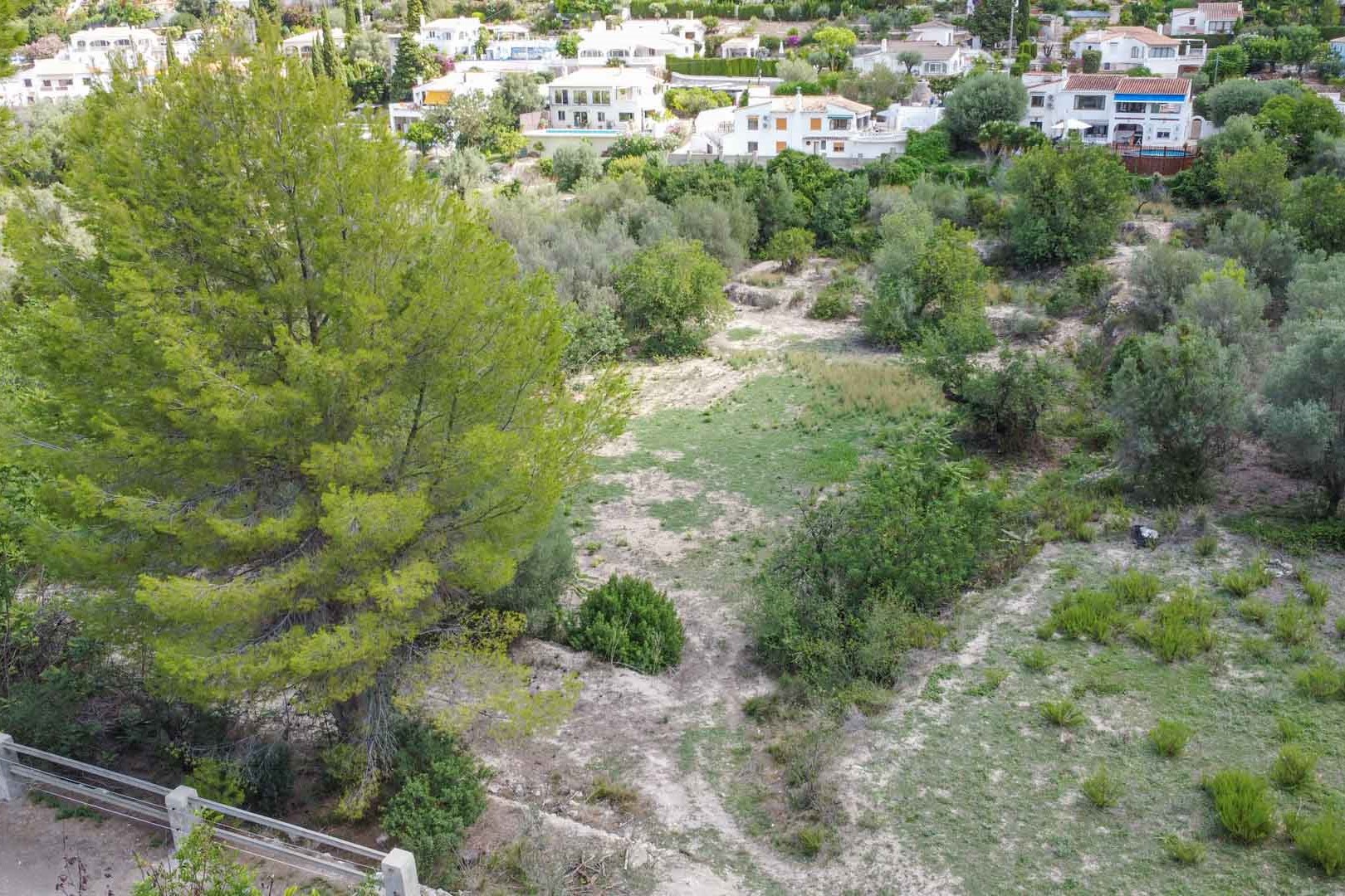 Elevated view of the expansive natural plot featuring mature pine trees and Mediterranean shrubland, set within a quiet residential area in Orba.