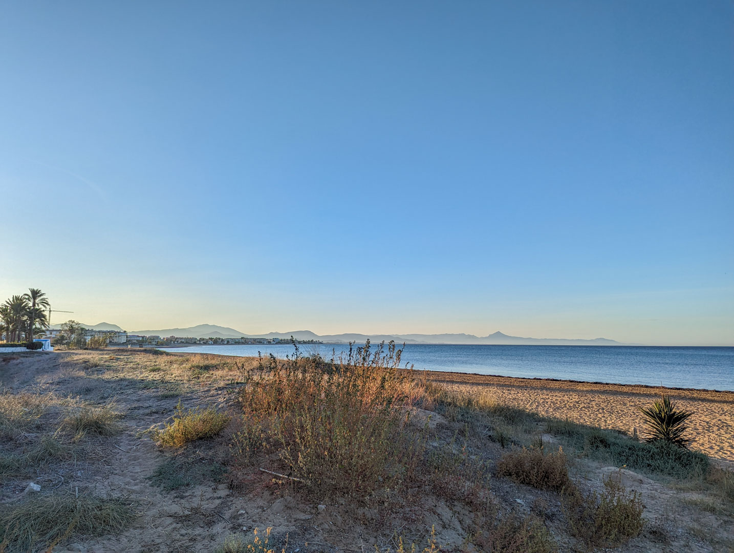 Wide view of a natural beach with sand dunes and wild vegetation, overlooking a calm sea with a mountain range on the horizon under a clear sky.