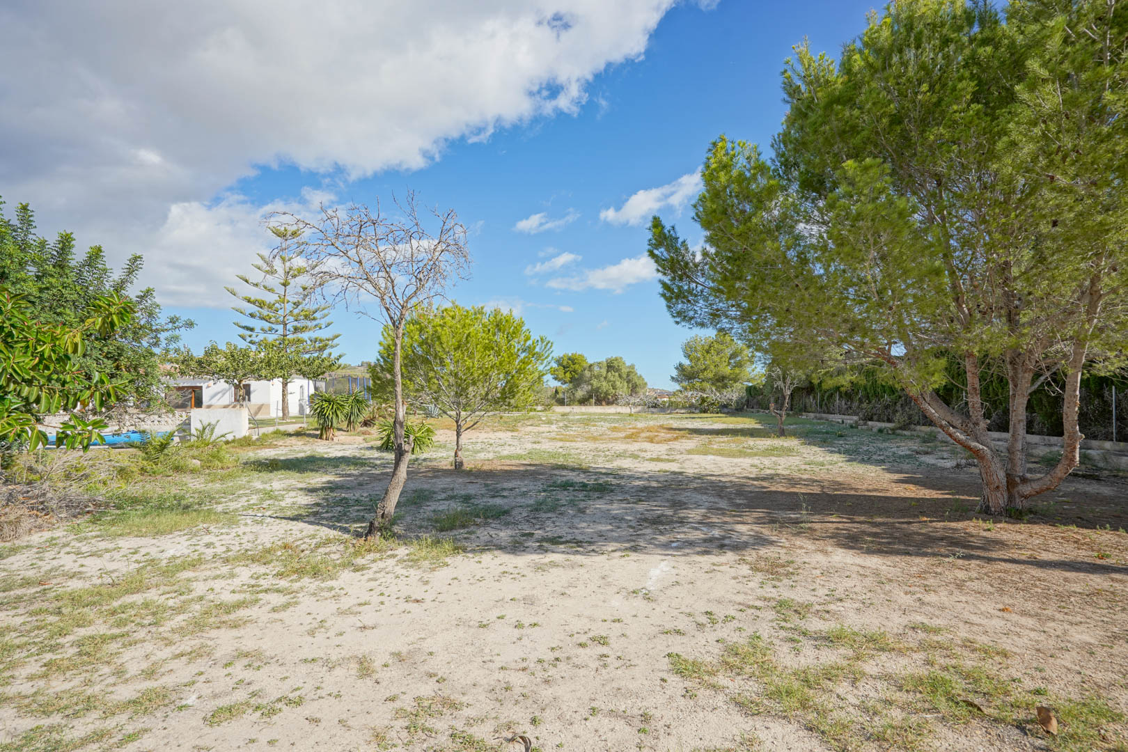 Expansive 4,008 m² flat plot featuring mature pine trees and Mediterranean flora, providing significant space and privacy adjacent to the main villa.