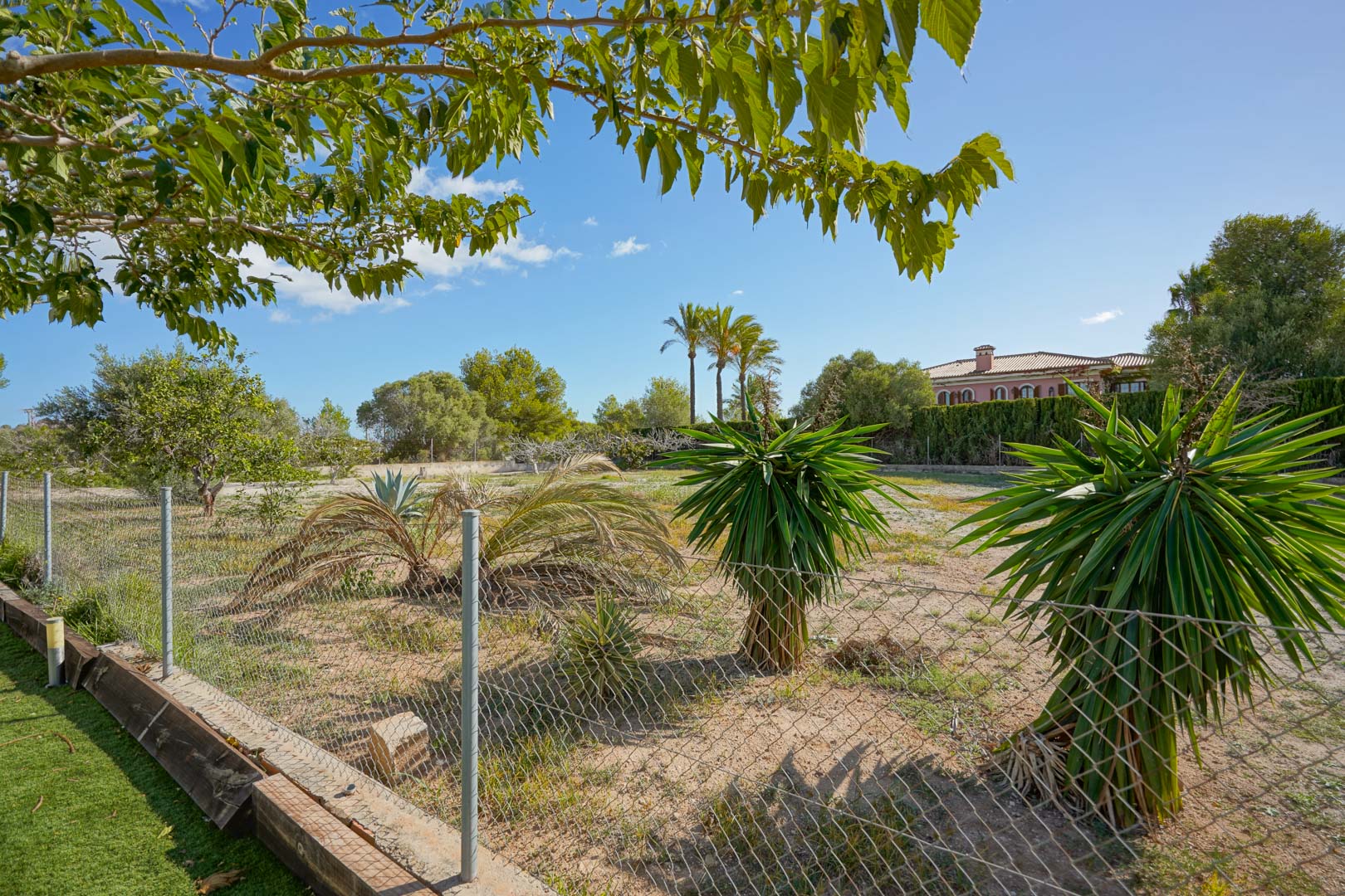 Flat 4,008 m² plot featuring Mediterranean vegetation such as yuccas and palms, enclosed by wire fencing with views of the surrounding rural landscape.