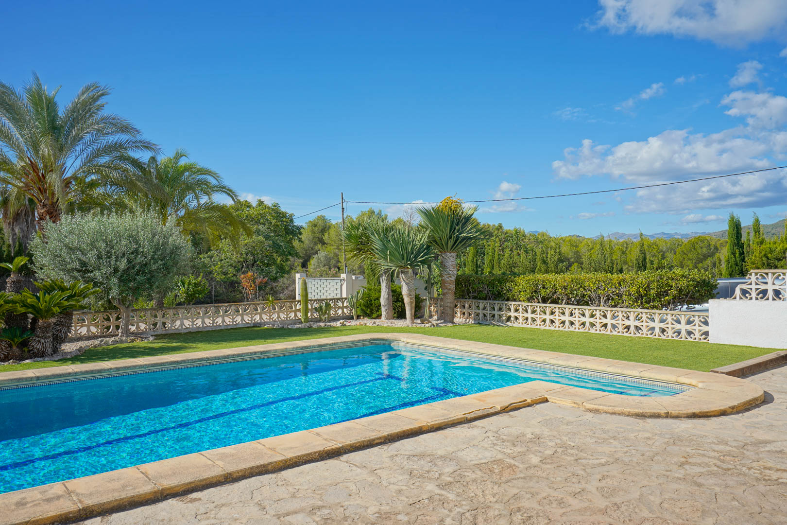 Outdoor swimming pool featuring a natural stone terrace and lawn area, bordered by palm trees and a decorative white lattice wall under a clear sky.