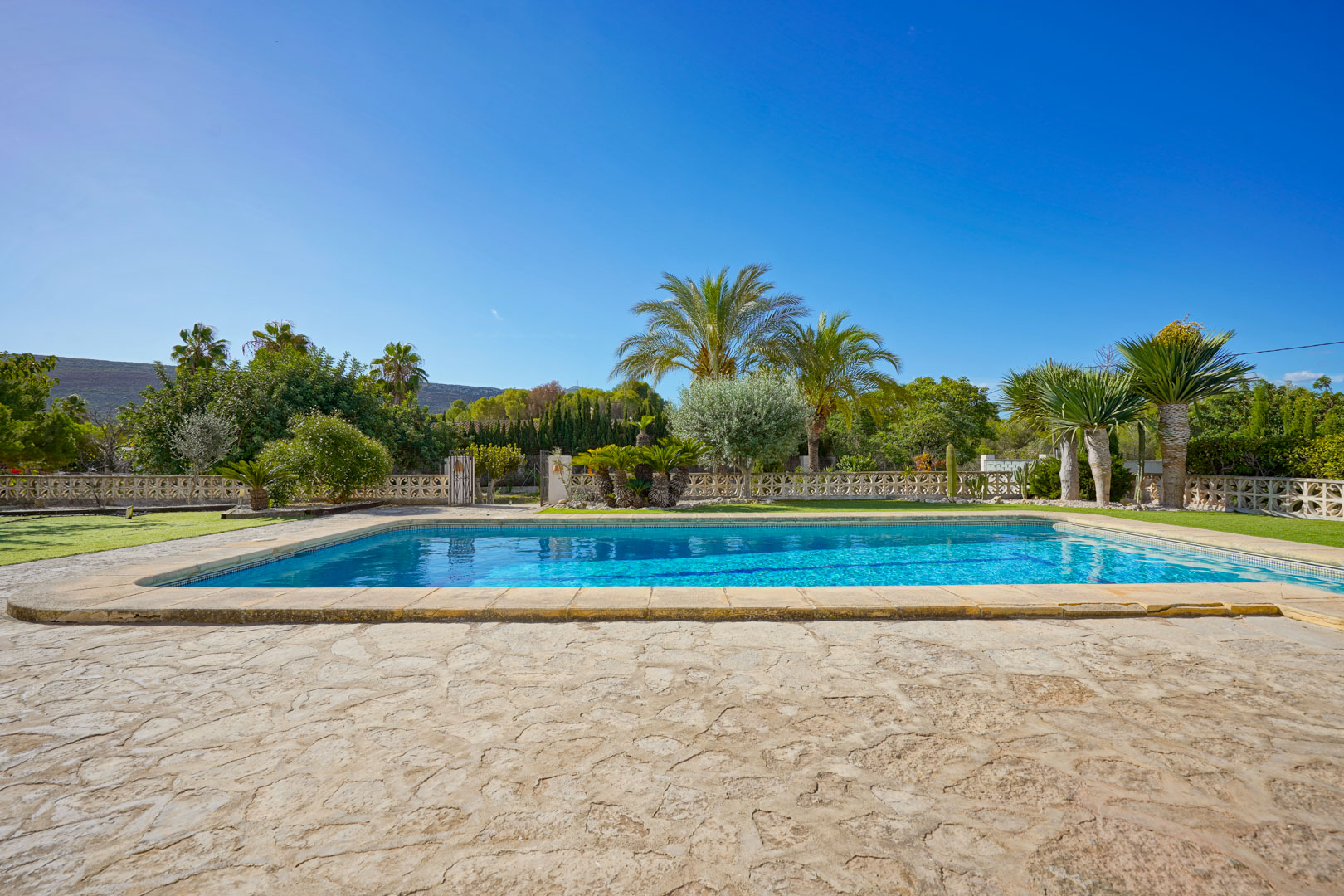 Rectangular swimming pool featuring a natural stone terrace and a landscaped garden with mature palm trees and Mediterranean vegetation.