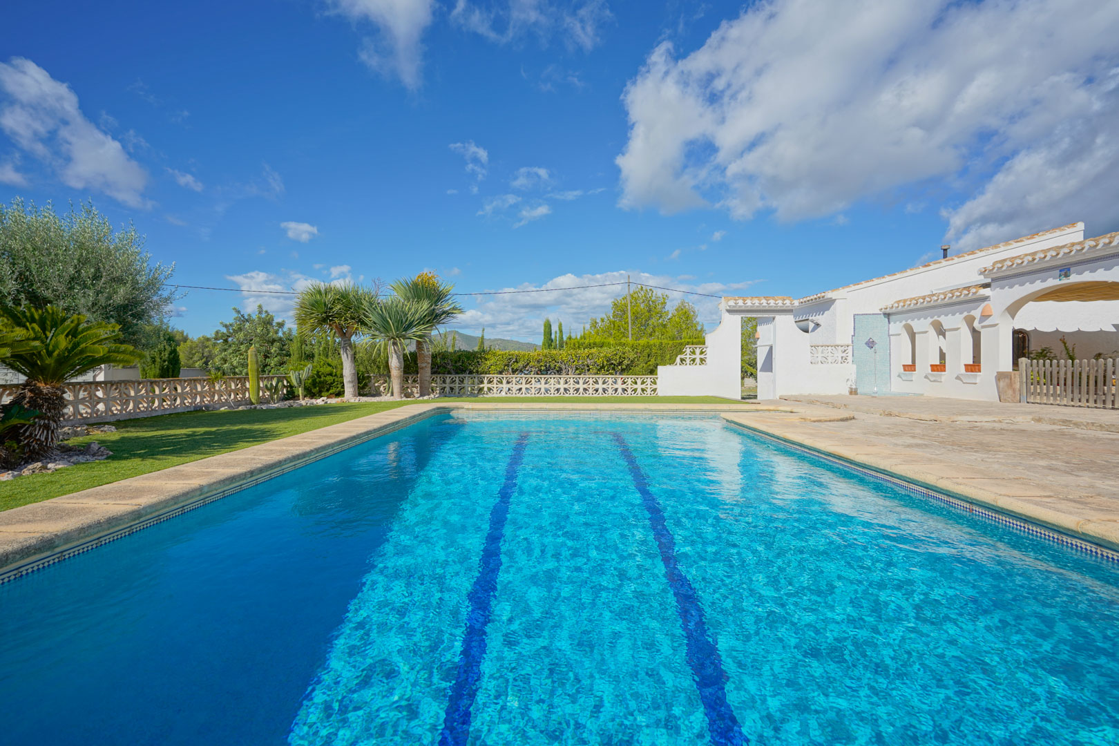 Rectangular swimming pool with integrated swim lanes, bordered by a natural stone terrace and manicured lawn with palm trees under a clear sky.