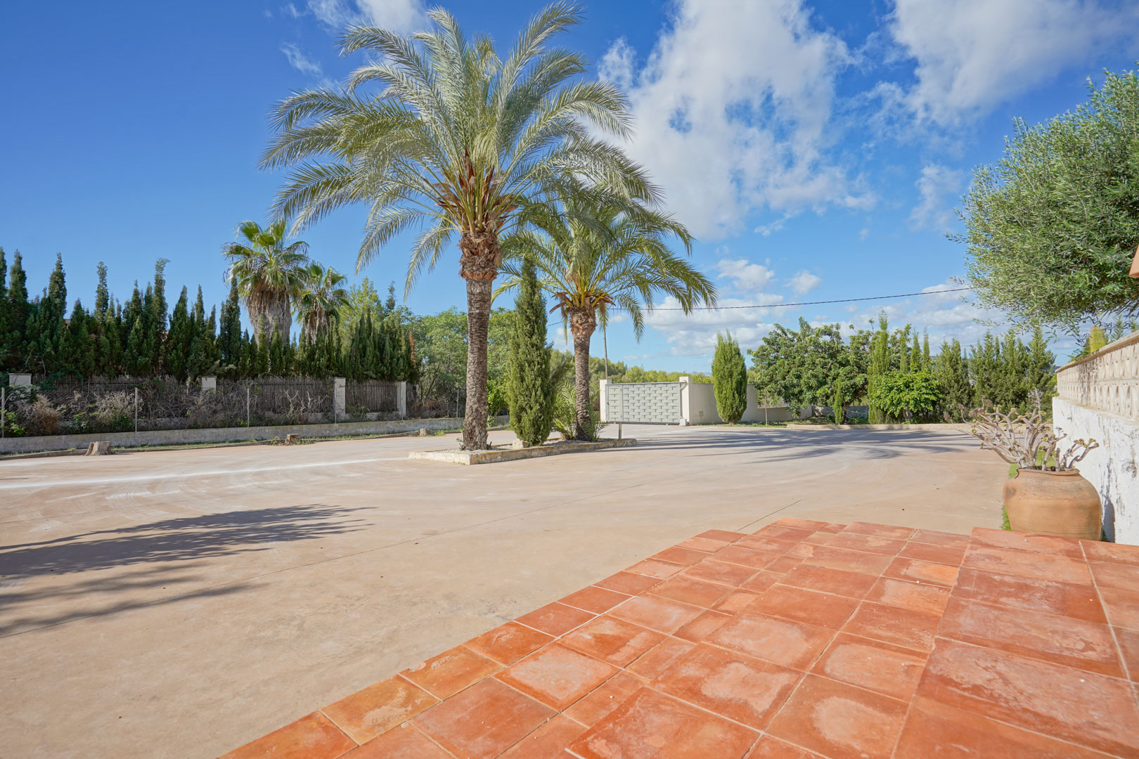 Spacious paved driveway featuring central palm trees, an automatic entrance gate, and ample parking space, bordered by mature Mediterranean greenery and cypress trees.