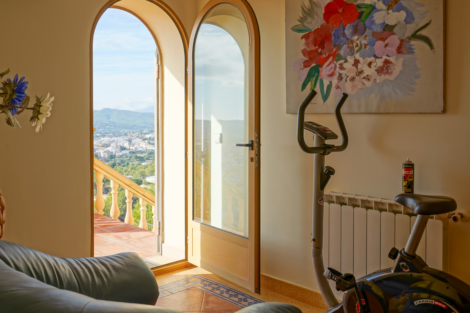 Interior space featuring a stationary bike and arched glass doors opening onto a terrace with views of the town and surrounding mountains.