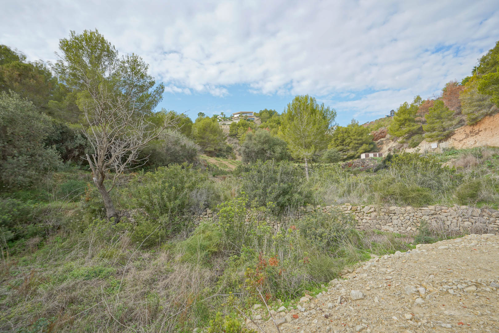 Building plot featuring natural Mediterranean vegetation, traditional dry stone walls, and views of the surrounding pine-covered hillsides.