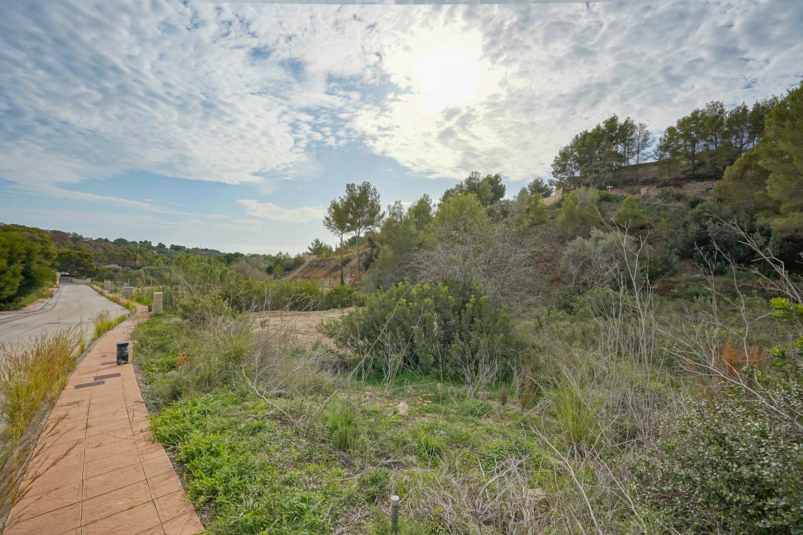 Building plot in a modern residential area, featuring natural Mediterranean vegetation and pine trees, with paved access and established infrastructure.