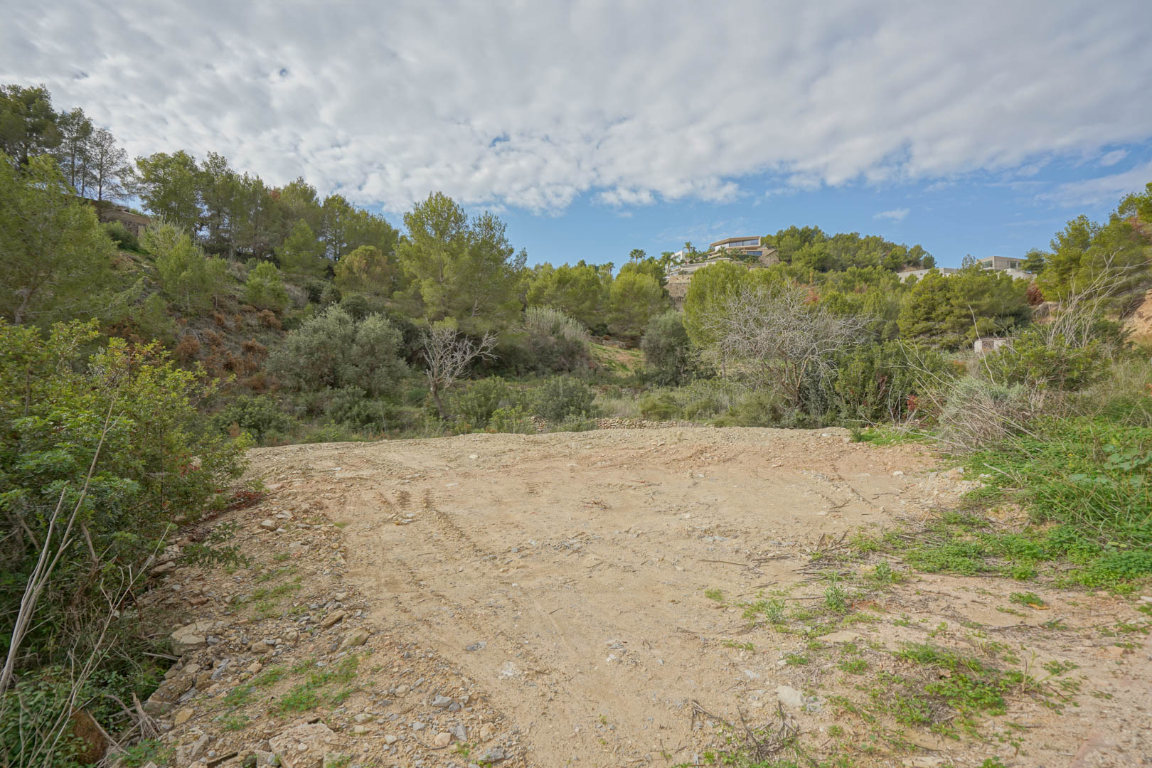 Flat, cleared building plot surrounded by mature Mediterranean pine trees and greenery, offering a private setting for the new villa project.