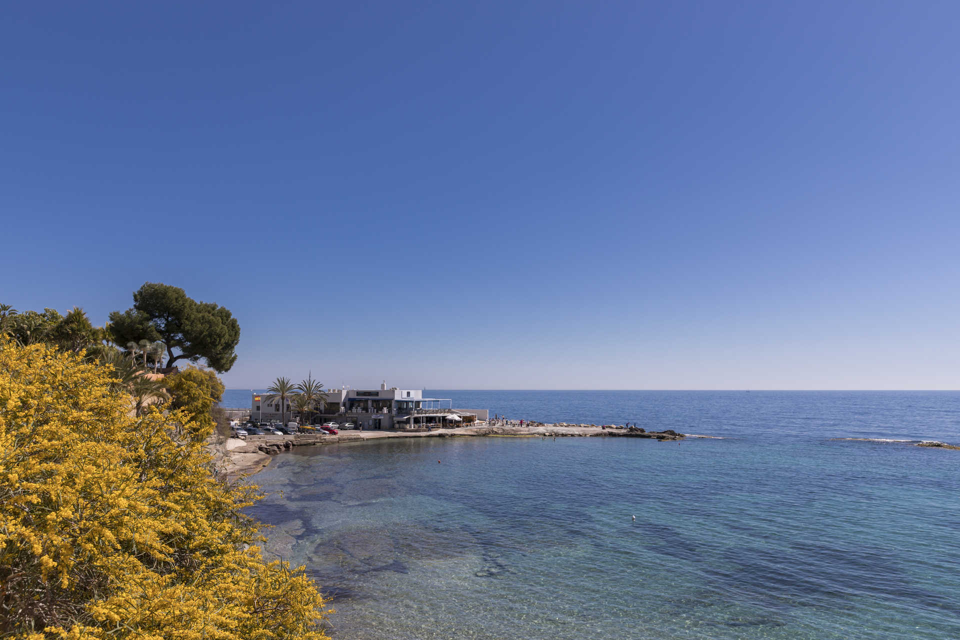 Panoramic view of La Fustera cove featuring crystal-clear Mediterranean waters, vibrant coastal flora, and a seaside establishment under a bright blue sky.