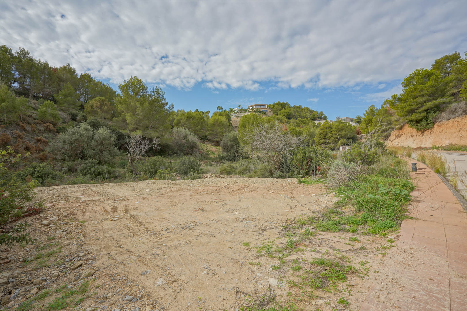 View of the flat, cleared building plot surrounded by Mediterranean pine forest, featuring direct access from a paved residential street under a bright sky.