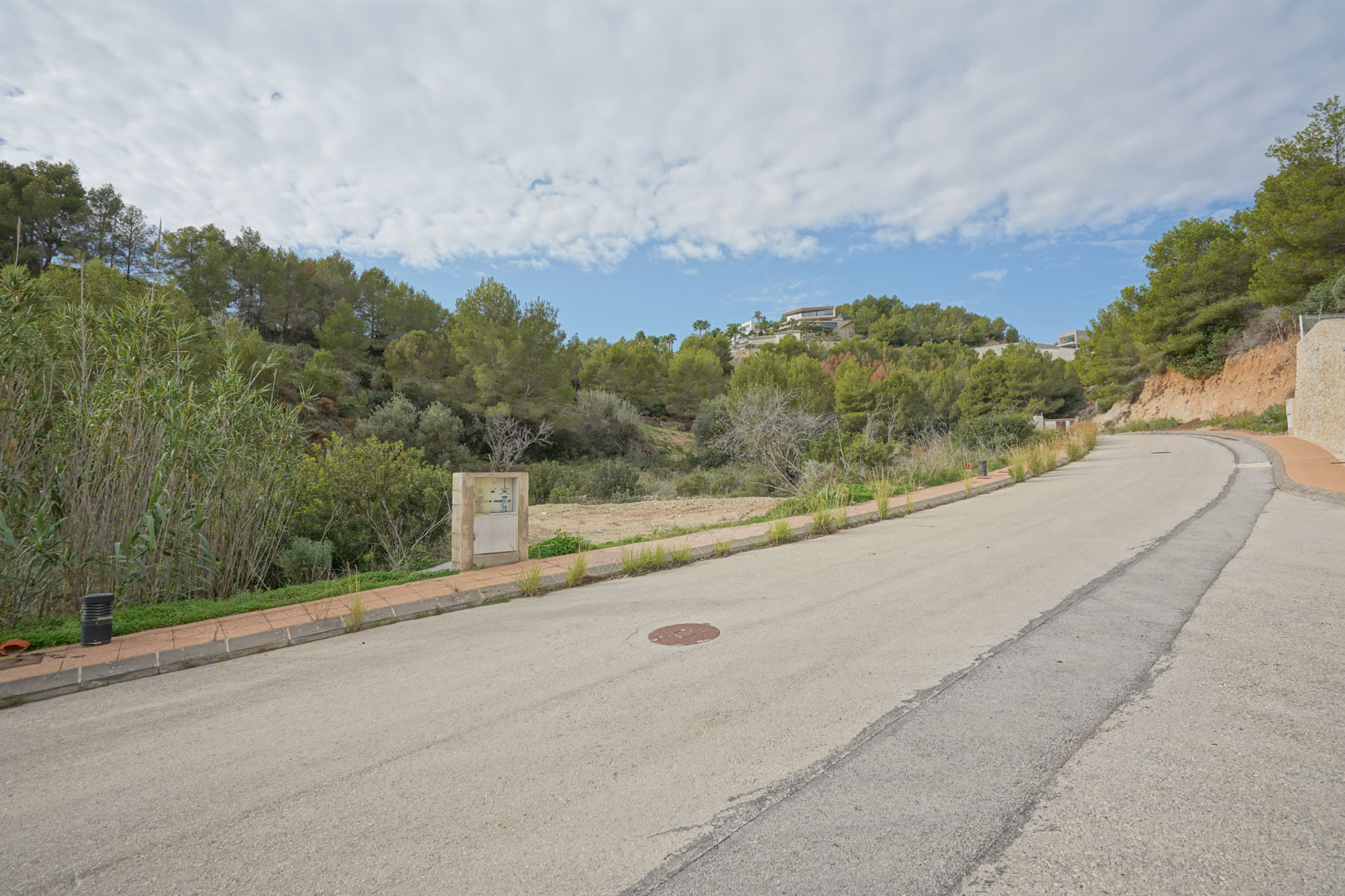 View of the paved access road and the building plot surrounded by Mediterranean pine trees in a quiet residential area near La Fustera.