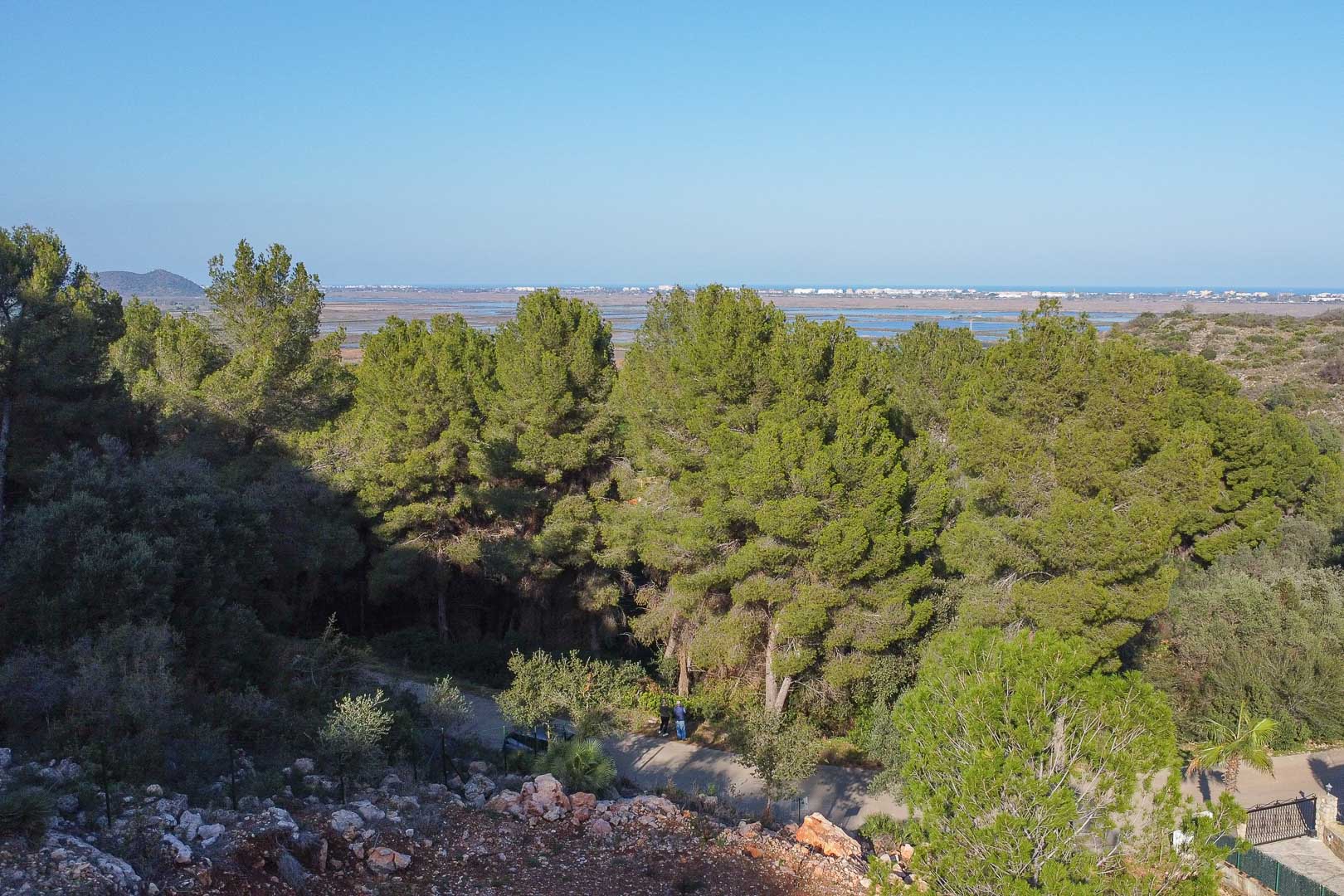 Elevated panoramic view from the plot overlooking the Marjal de Pego Natural Park and the Mediterranean Sea, framed by mature pine trees and local flora.