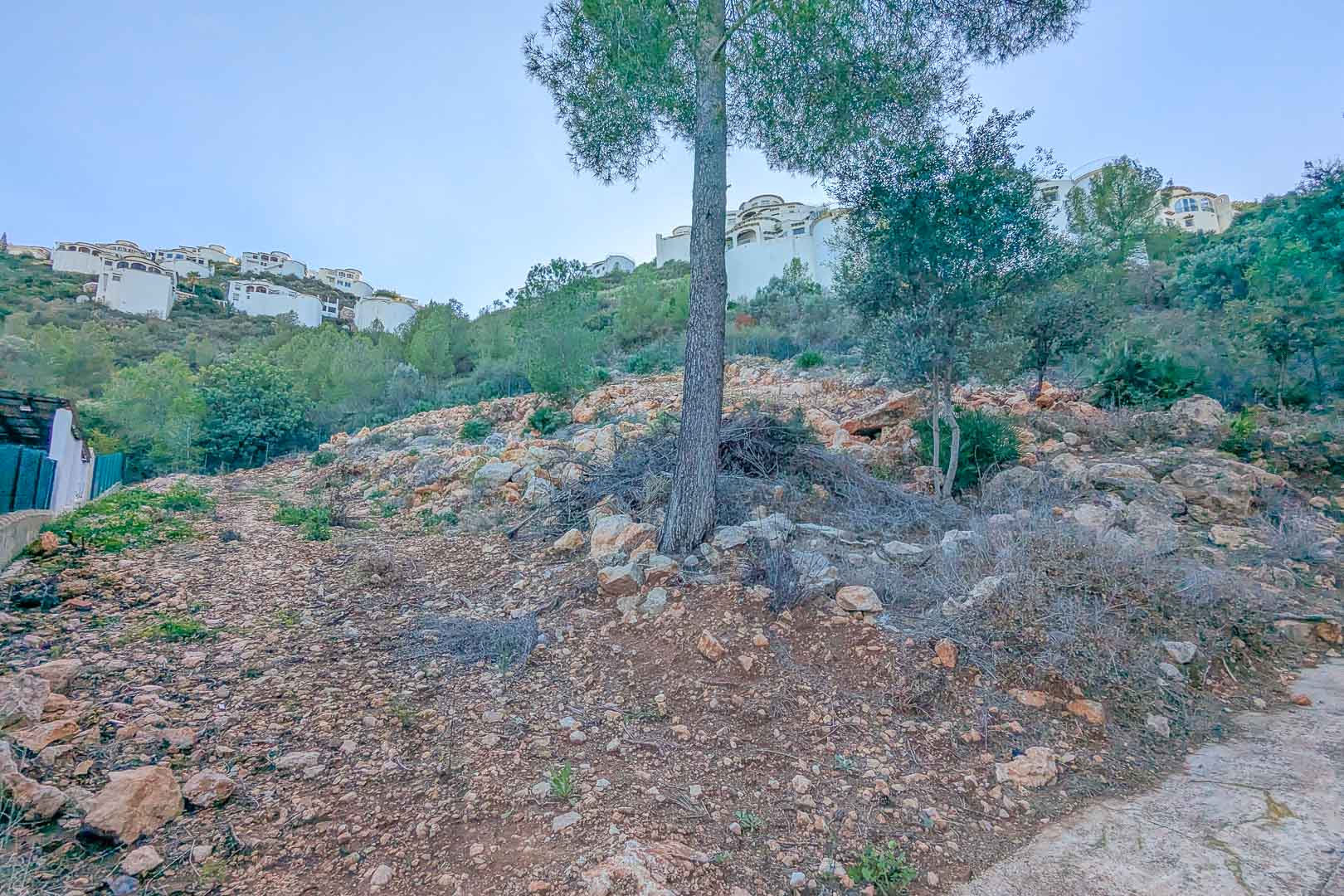 Elevated plot in Montepego featuring rocky terrain and native pine trees, with established white villas visible on the upper hillside.