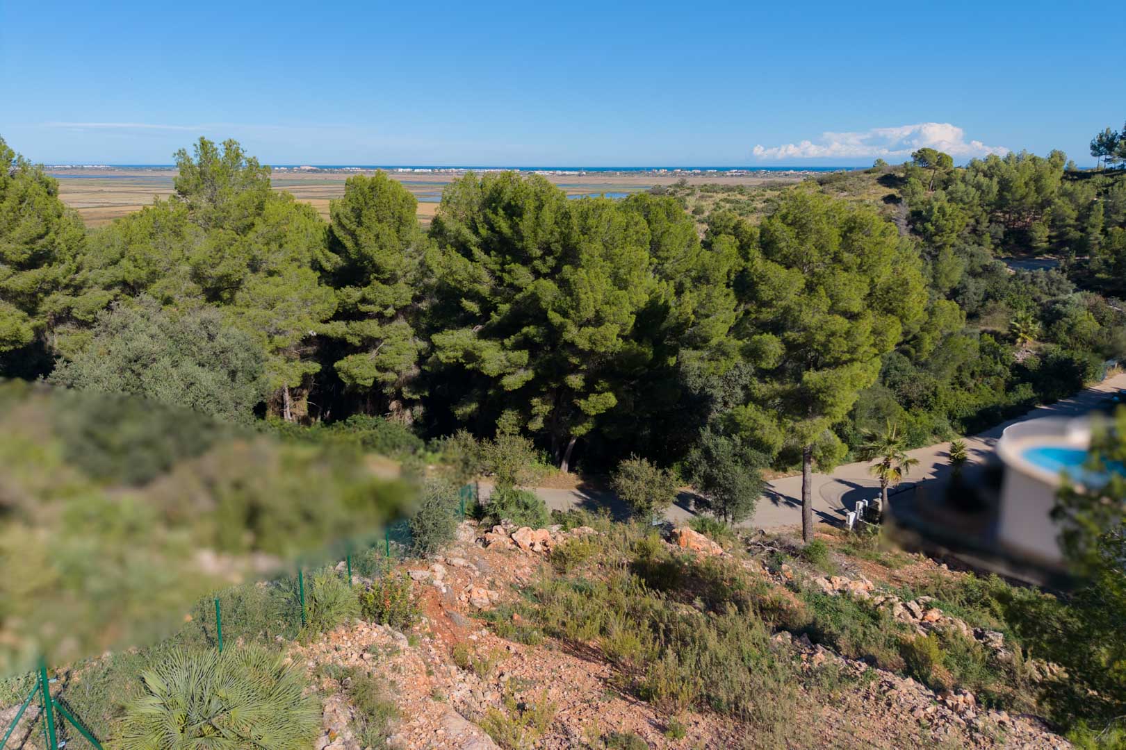 Elevated plot view overlooking the Marjal de Pego Natural Park and the Mediterranean Sea, framed by mature pine trees and native Mediterranean scrub.