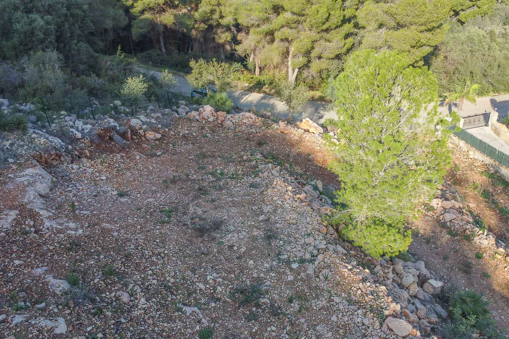 Elevated view of the building plot showing natural topography with red soil and rocks, bordered by a dense Mediterranean pine forest.