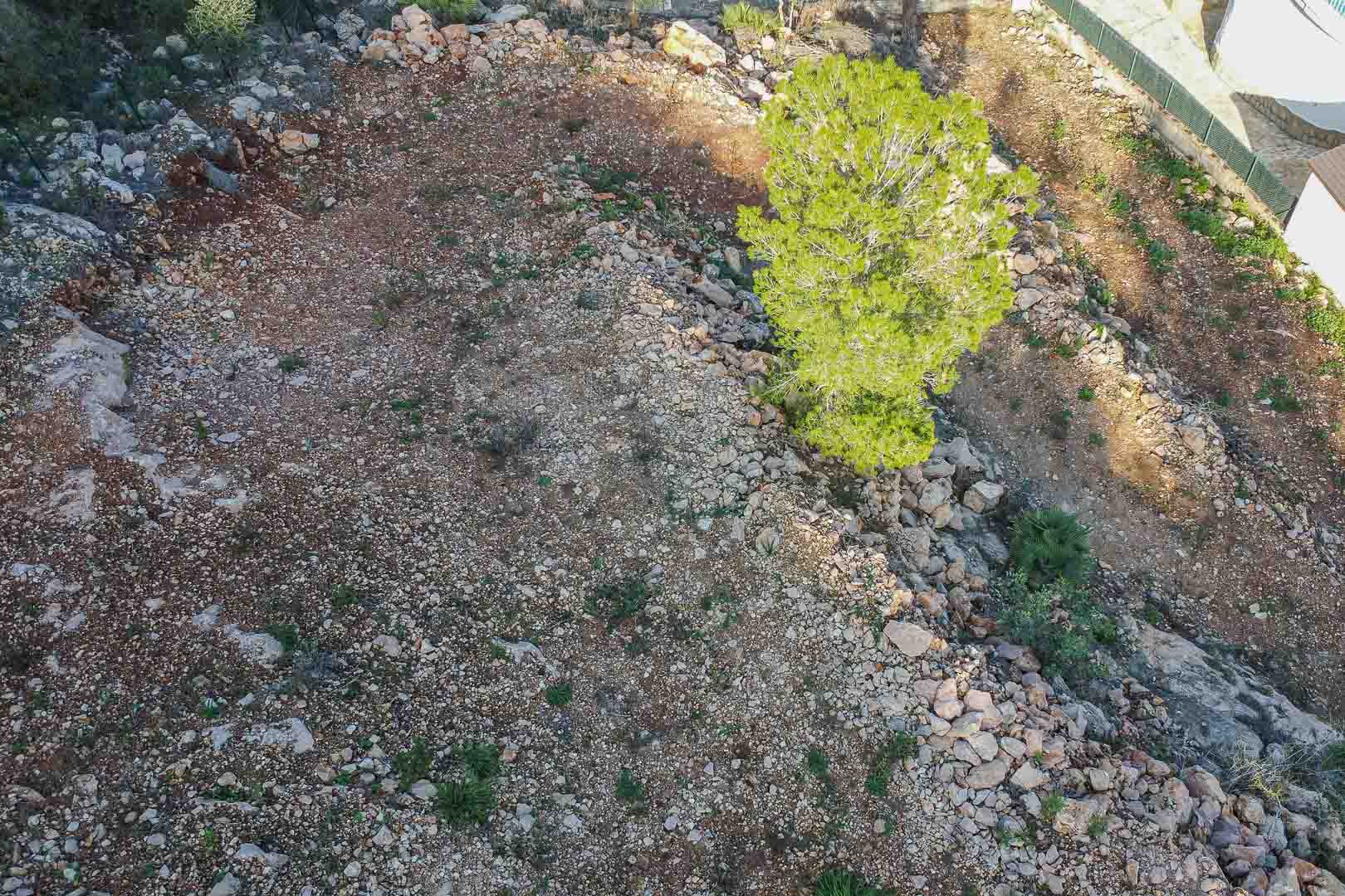 Elevated view of the plot in Montepego, featuring cleared rocky terrain with a mature pine tree and natural stone borders ready for construction.