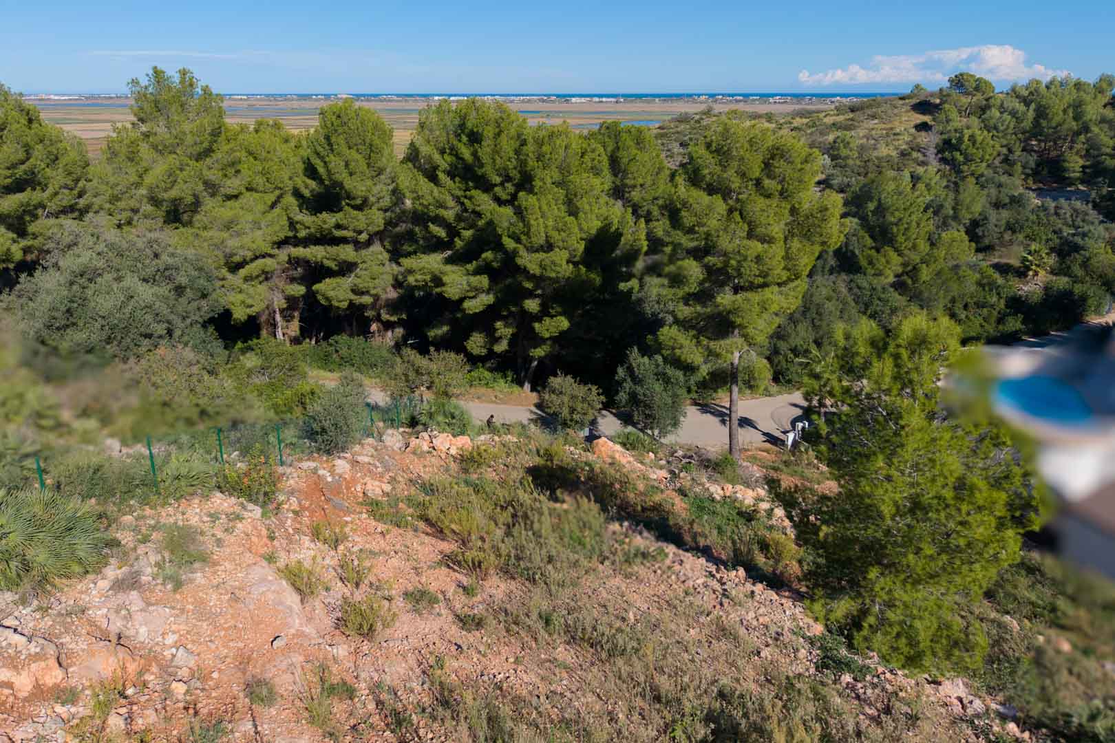 Panoramic view from the elevated plot overlooking the Marjal de Pego Natural Park and the Mediterranean Sea, framed by mature pine trees and rocky terrain.