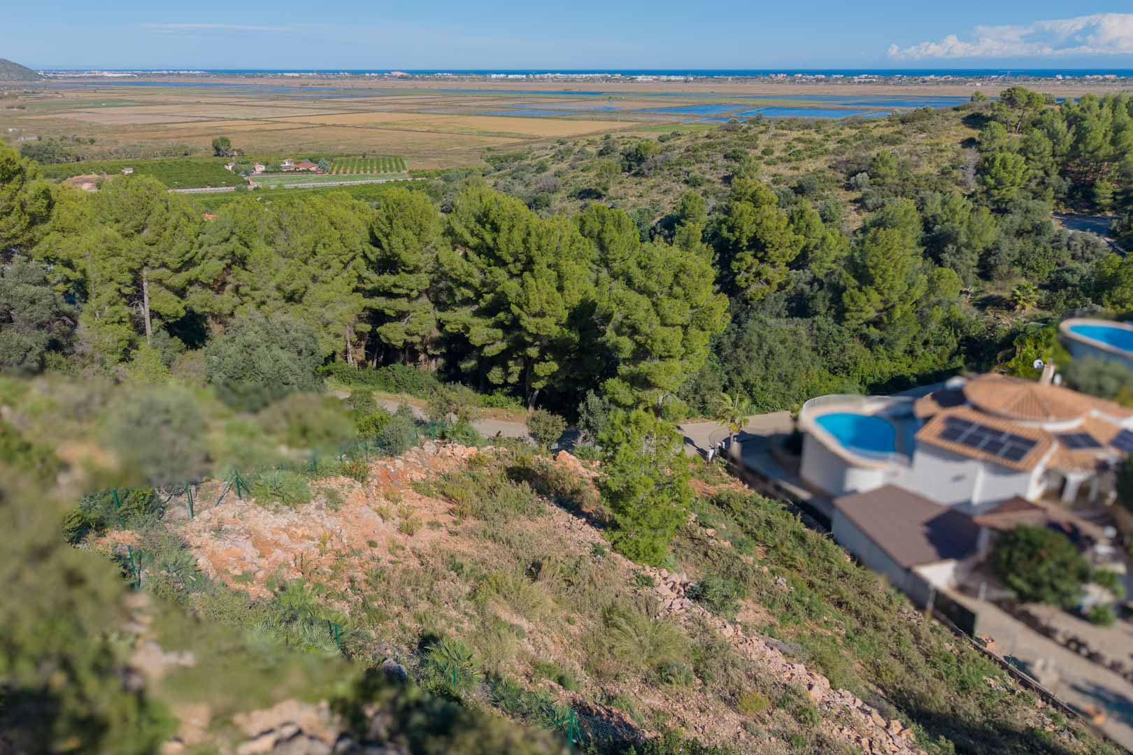 Panoramic view from the elevated plot overlooking the Marjal de Pego Natural Park and the Mediterranean Sea, surrounded by pine trees and native vegetation.